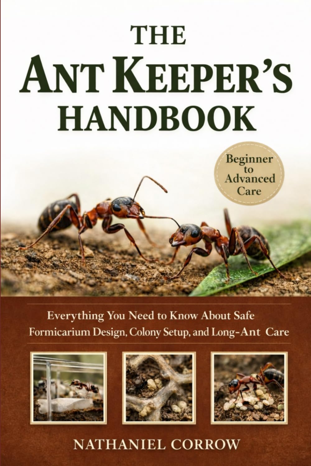 THE ANT KEEPER’S HANDBOOK: Everything You Need to Know About Safe Formicarium Design, Colony Setup, and Long-Term Ant Care