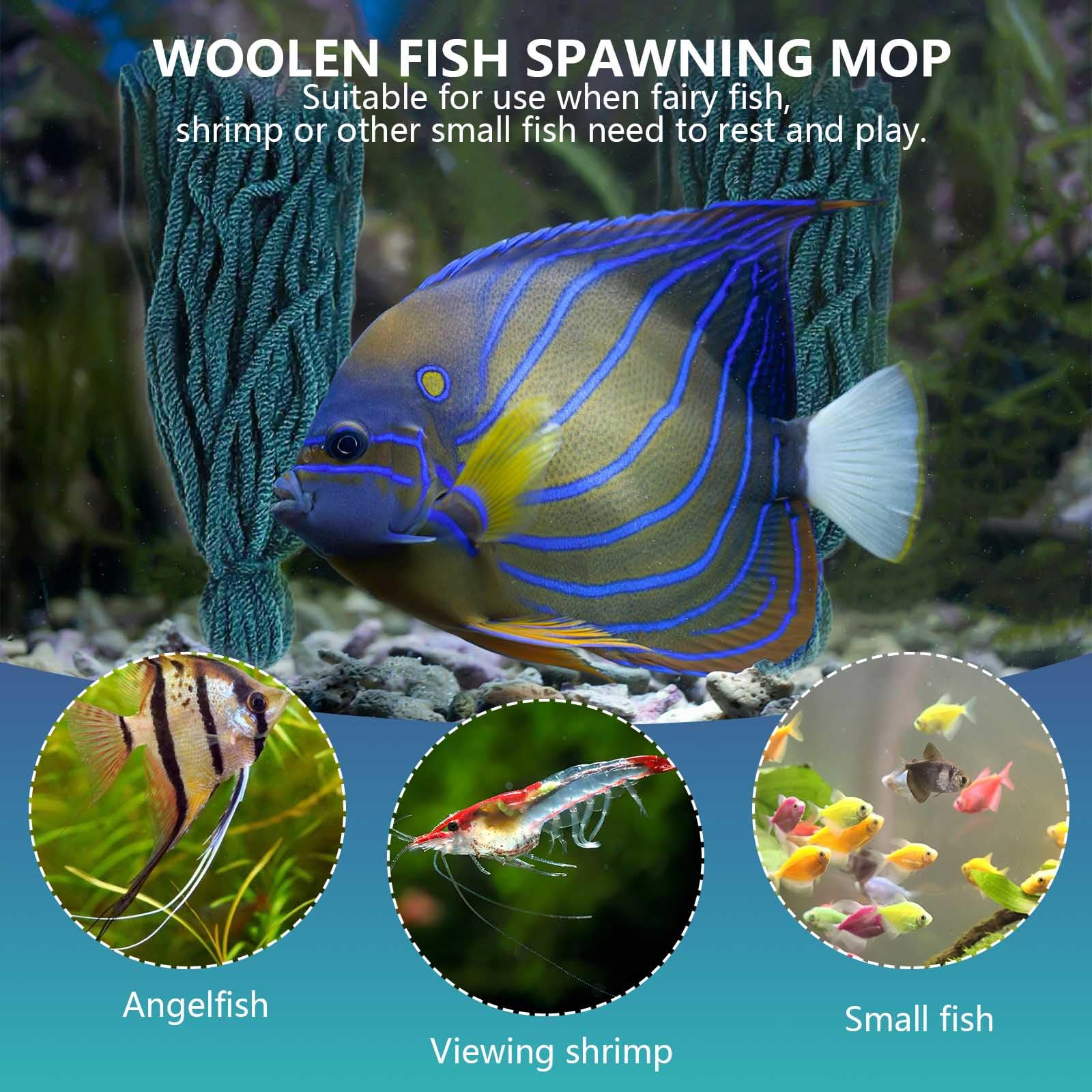 Piante per acquario, mocio per la deposizione delle uova, ideale per attaccare uova di pesce, facile da usare, perfetto per pesci angelo, gamberetti e piccoli pesci, migliora la decorazione