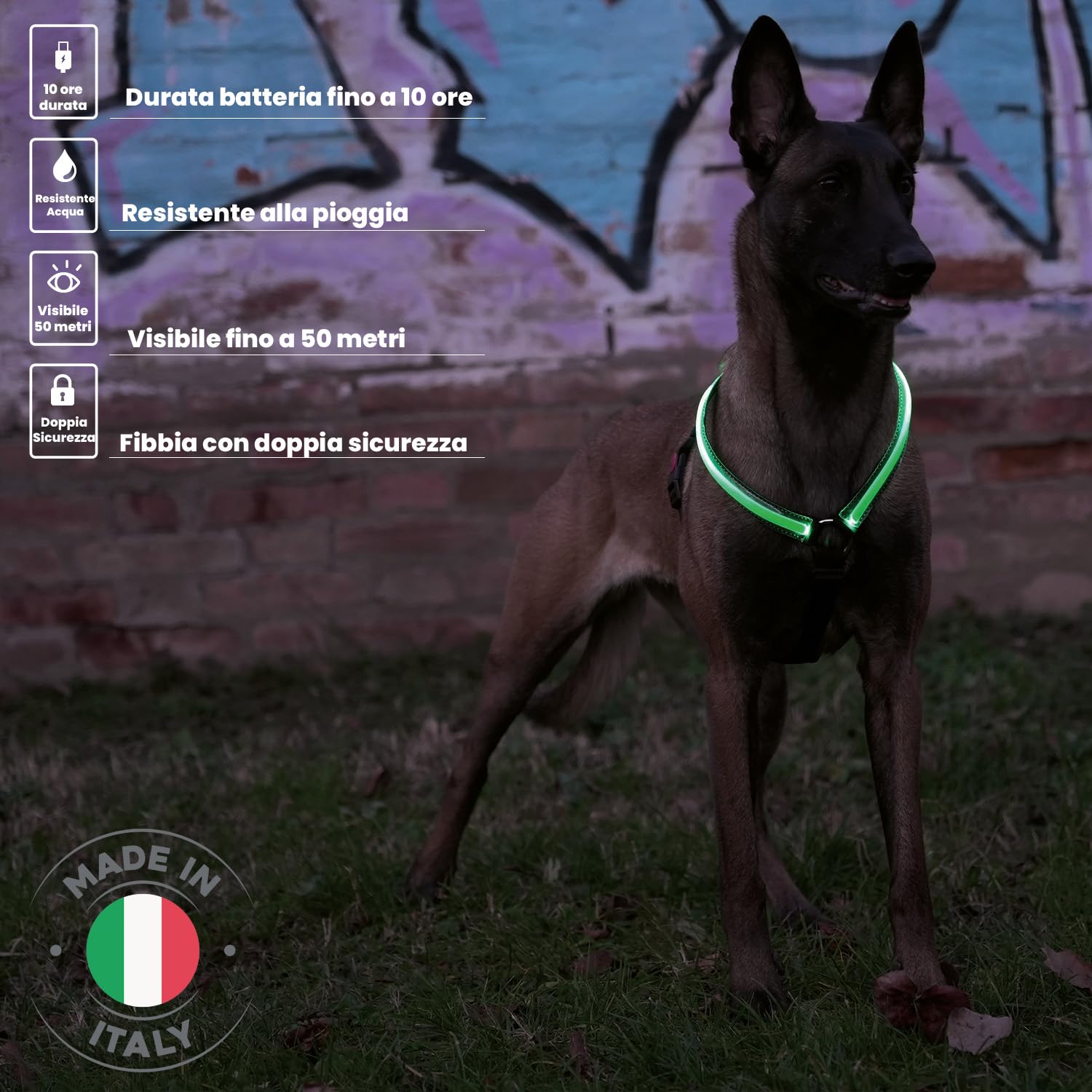 Pettorina Cane LED Ricaricabile PETTY - Imbracatura Antistrappo, Luci Fino A 500m, Taglia XXXS, Verde - Foto 14