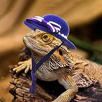 Vista 4 de 6 piezas de sombreros para pollo, sombreros para muñecas, ropa para osos, ropa para peluches, cascos para pollo