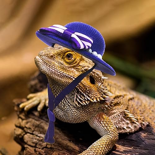 Miniatura 4 de 6 sombreros de pollo para gallinas, cascos de pollo, sombrero de conejillo de indias, sombrero de perro, sombrero de gato, sombrero de hámster,