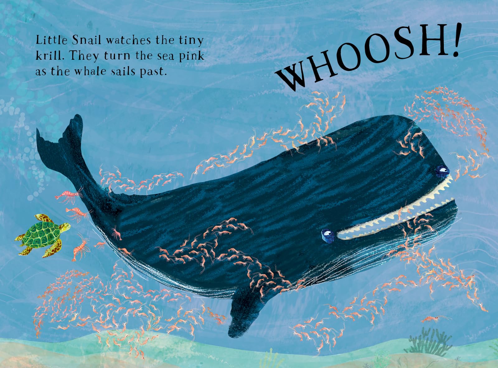 Little Turtle's Book of the Blue /anglais