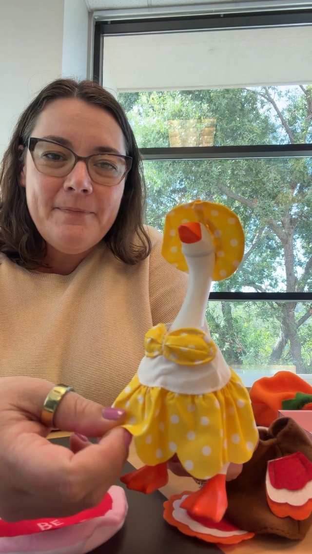 Unbox & Review - Desk goose seasonal outfit set