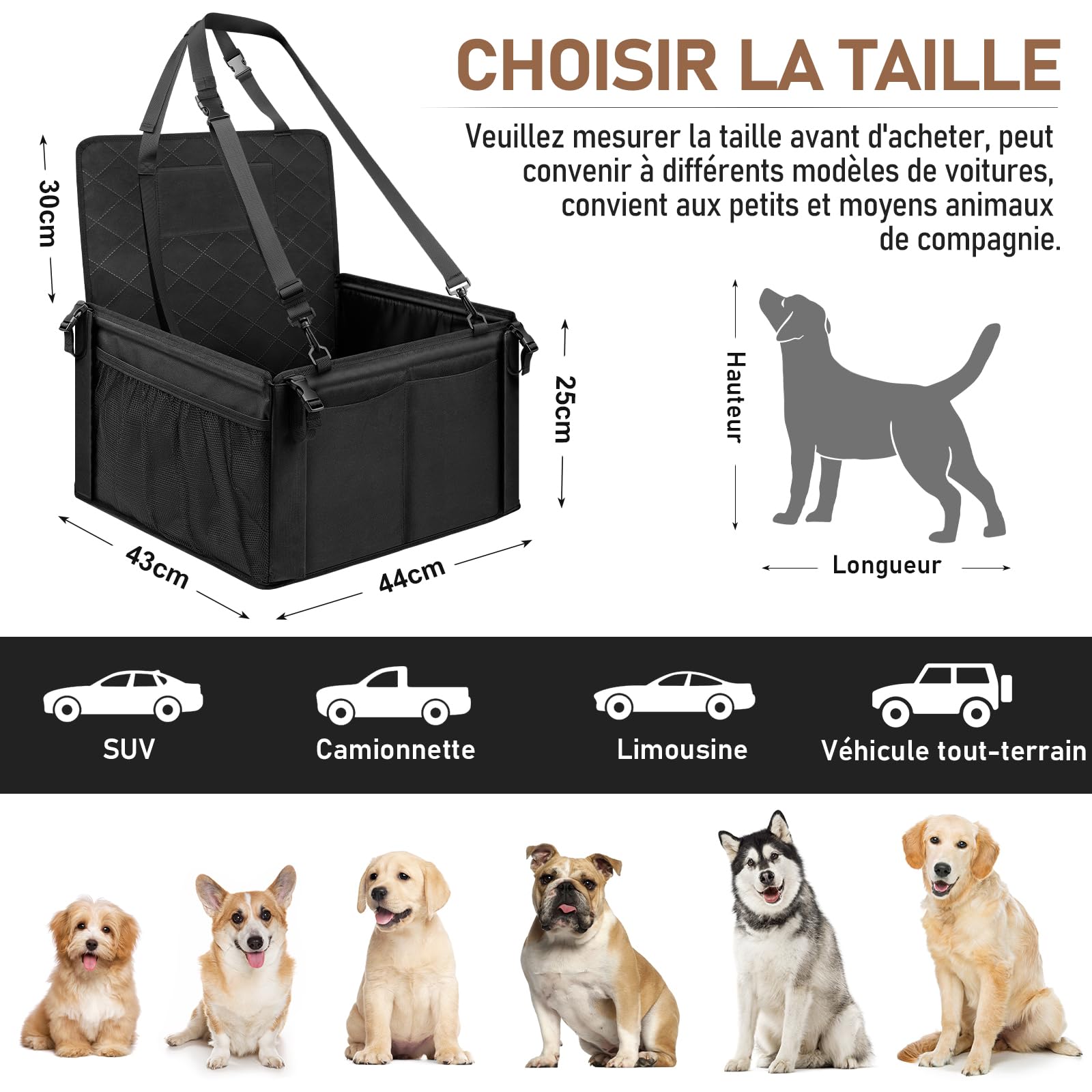 ICARE Siège Auto Chiens