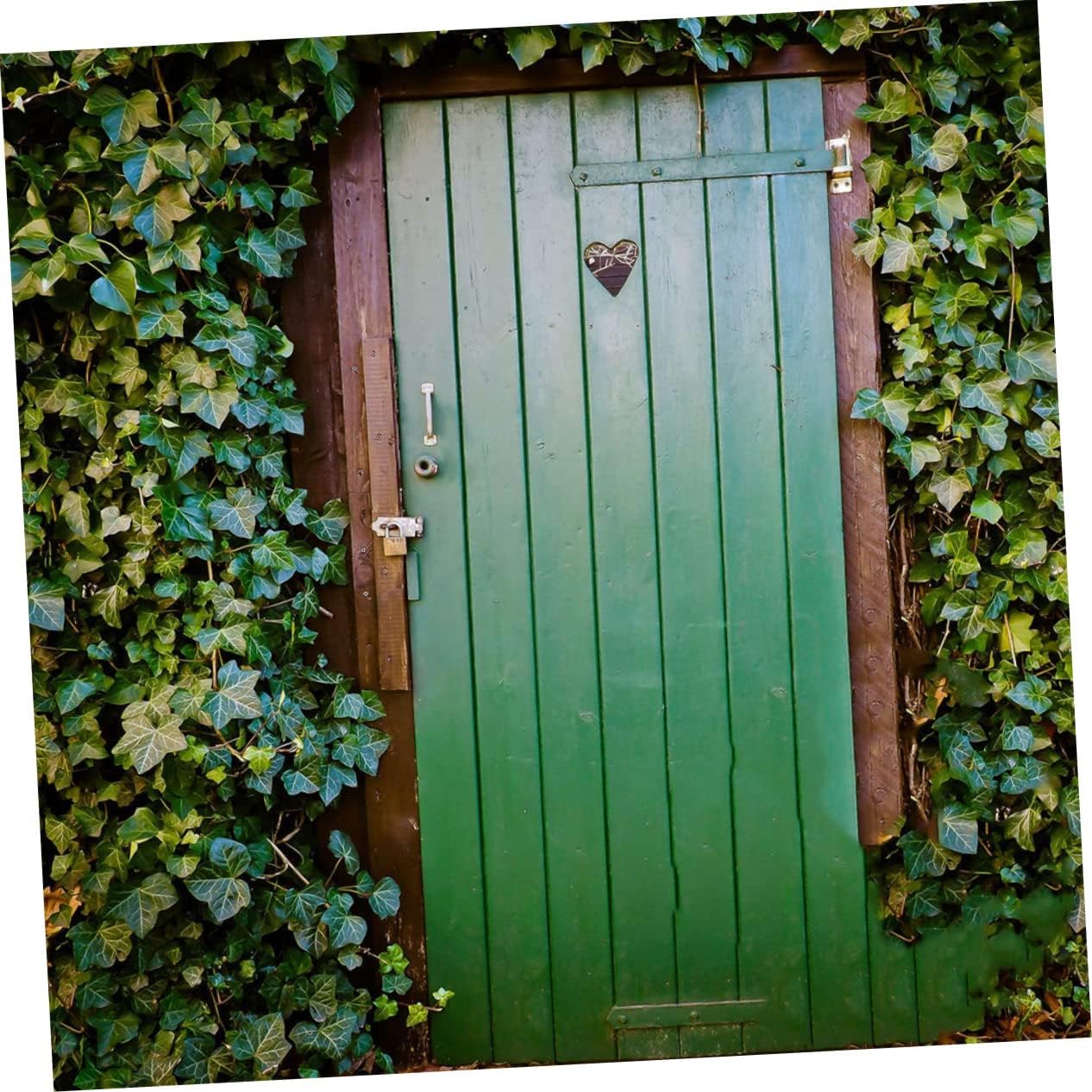 NUOBESTY T Strap Hinge for Barn Doors Heavy Duty Black Iron Hinges 4-Piece Set Precision Bearings for Easy Installation and Shed Door Applications