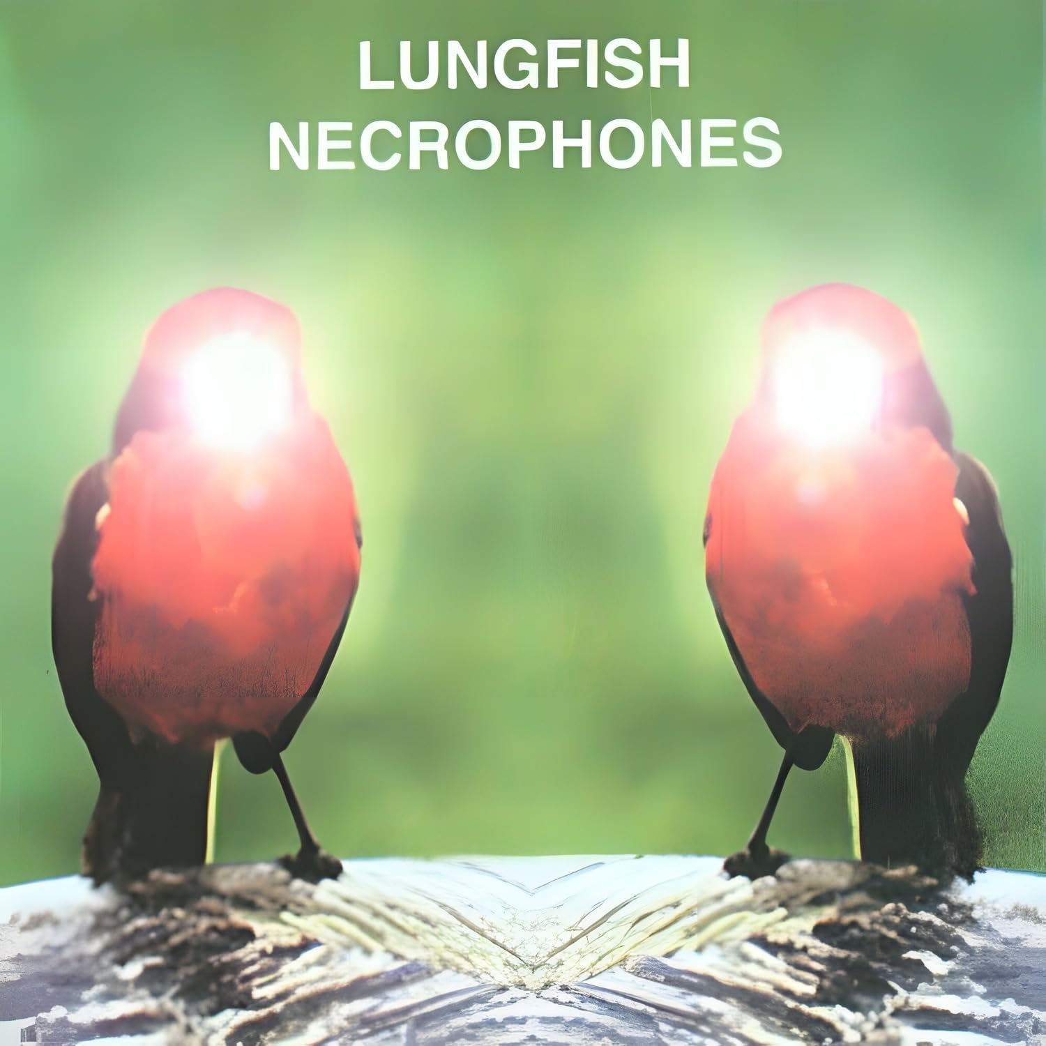 Necrophones [VINYL]