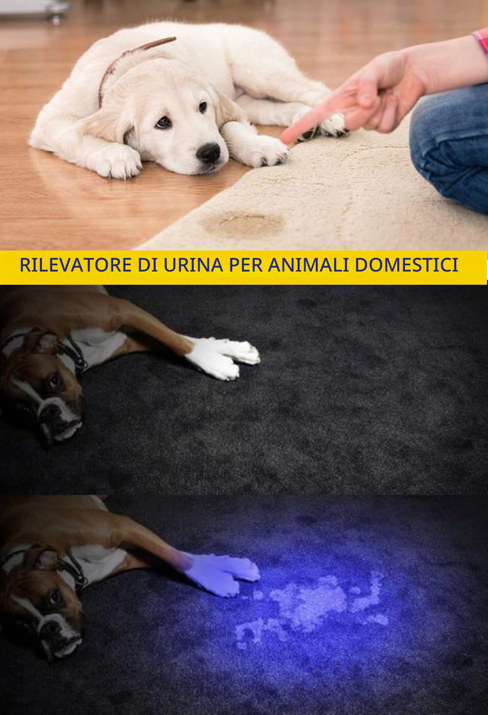 DARKBEAM Torcia UV 395nm USB Ricaricabile LED, Lampada di Wood Portatile, Luce Nera Ultravioletta Blacklight Mini