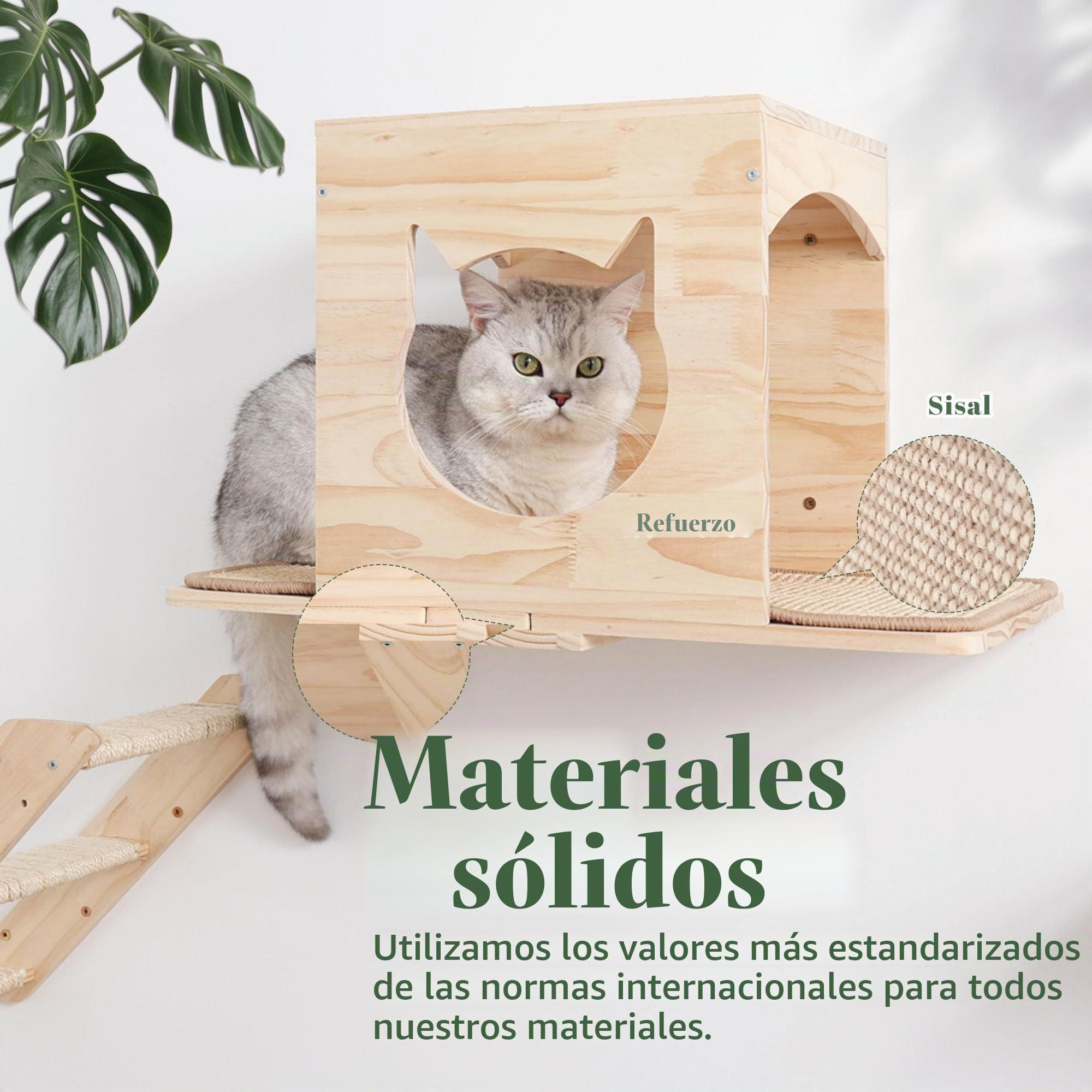 Juego de estantes de pared para gatos – Muebles para gatos montados en la pared con casa, alfombrilla de sisal, postes rascadores y posaderos – Estantes de escalada para interiores para gatos