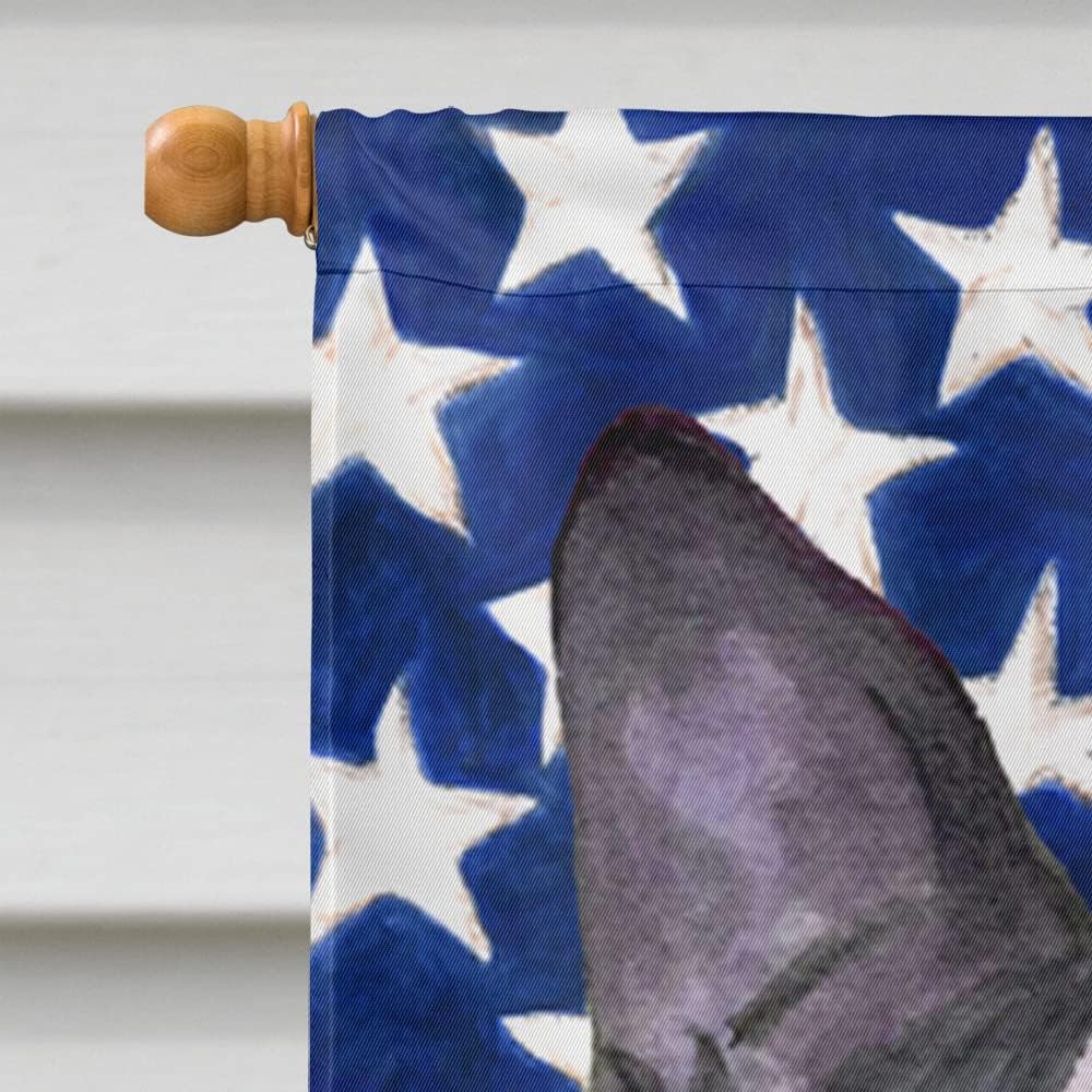 Caroline's Treasures SS4021CHF USA American Flag with Boston Terrier Flag Canvas, Large, Multicolor
