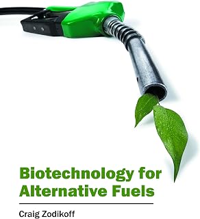 Biotechnology for Alternative Fuels