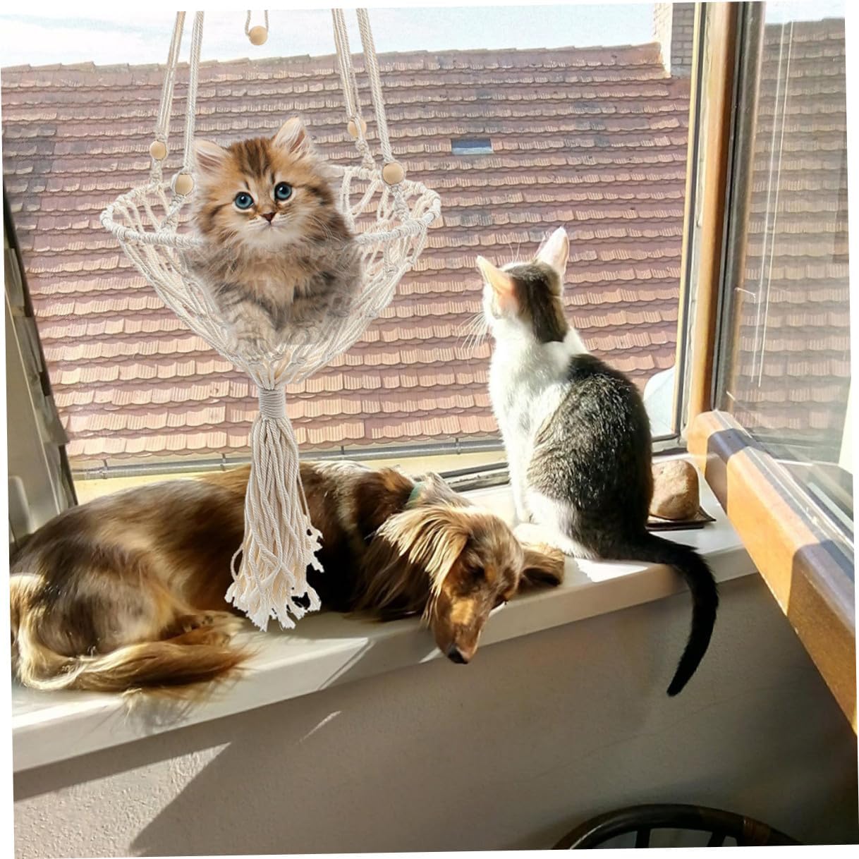 Kisangel Wear-Resistant Bohemian Woven Cat Hammock Bed 40cm Hanging Cat Nest for Indoor to 30lbs Household Pet Accessory with Sturdy Net Basket