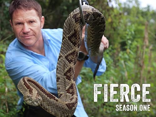 Fierce (TV Series)