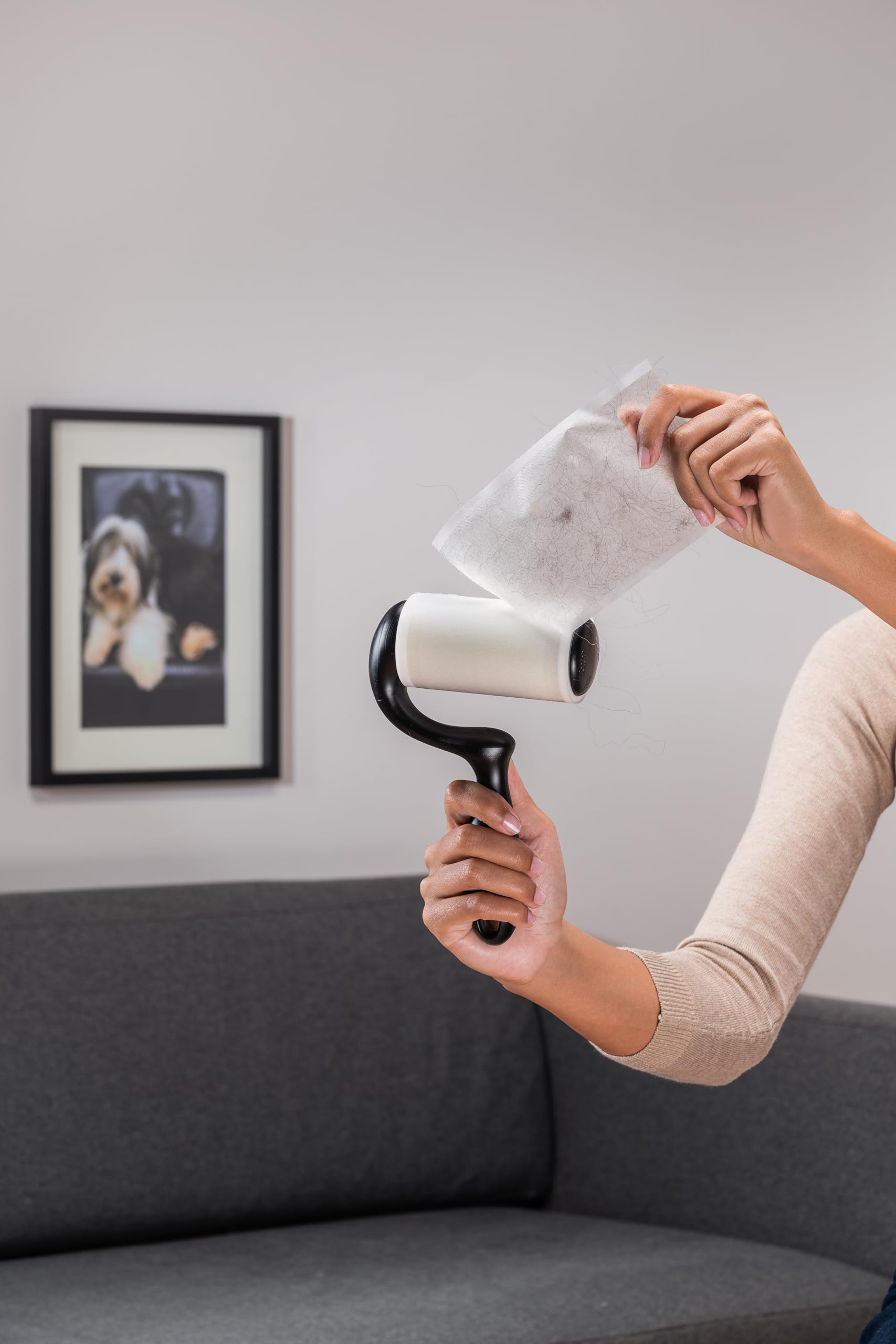 Scotch-Brite Rullo Levapelucchi Extra Adesivo per Animali, Grandi Superfici + 4 Ricariche (48 Fogli per Rullo)