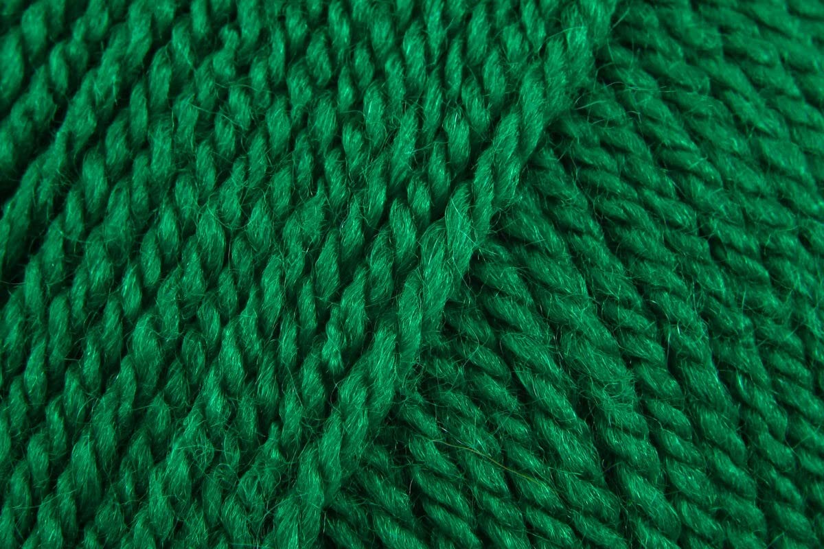Stylecraft Special DK Crochet Yarn, Soft 100% Double Knitting Wool for Toys, Blankets, Cushion Covers, Jumpers - 100g Balls - Green (1116) - Single GET 1 Ball Free-Total 2 Ball
