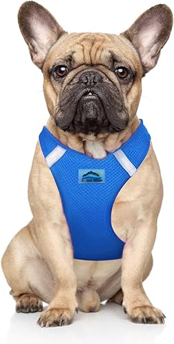 Vista 51 de DOGGIE DESIGN American River - Arnés para perro de la colección ombré, color frambuesa (S (circunferencia de 13 a 16 pulgadas)