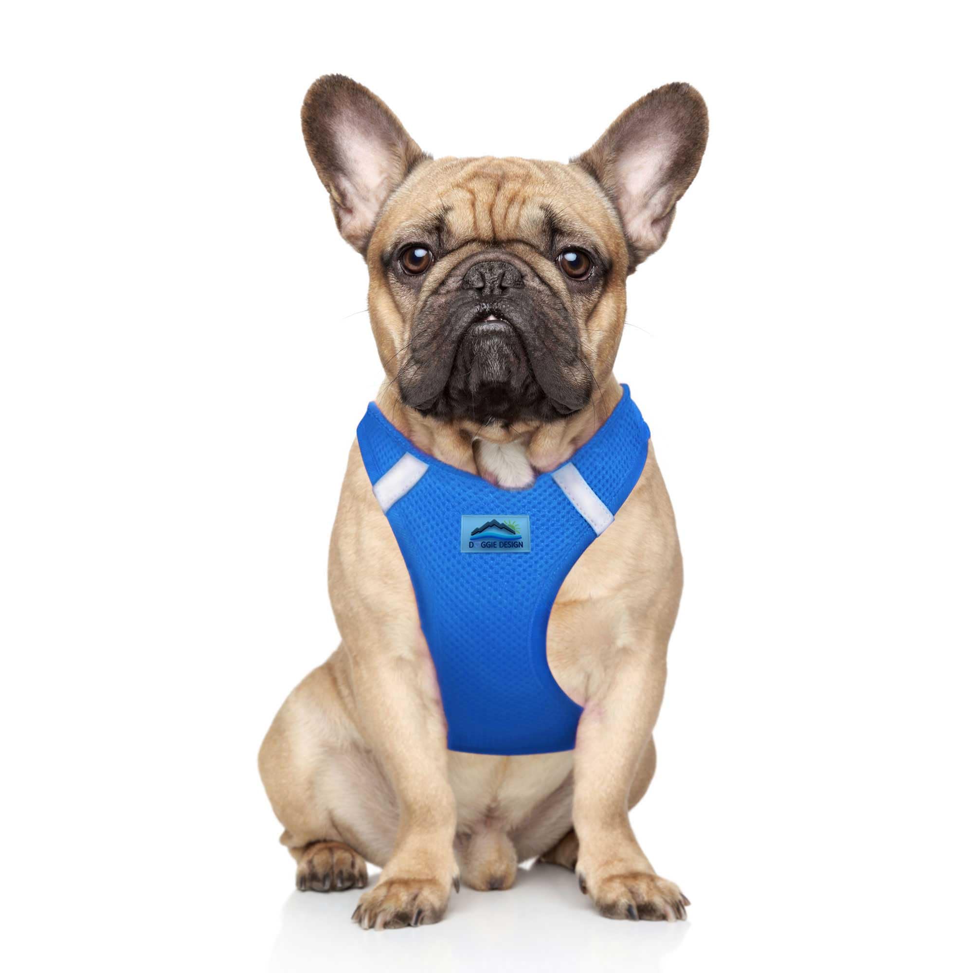 Doggie Design Dog Harness - No Choke Dog Harness, Dog Vest, Mesh Polyester, Pet Harness, Simple Step in and Go Design, Harness for Dog - Cobalt Blue,