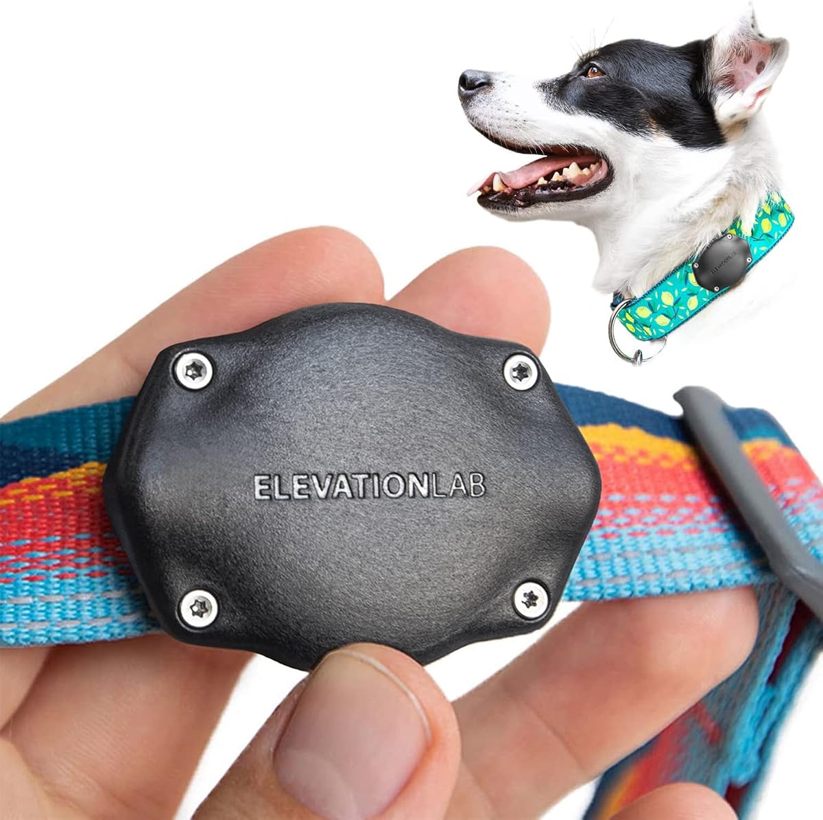Elevation Lab AirTag Dog Collar Holder - Waterproof | Secure, Durable, Fits Any Collar Width, Doesn't Dangle, Comfortable