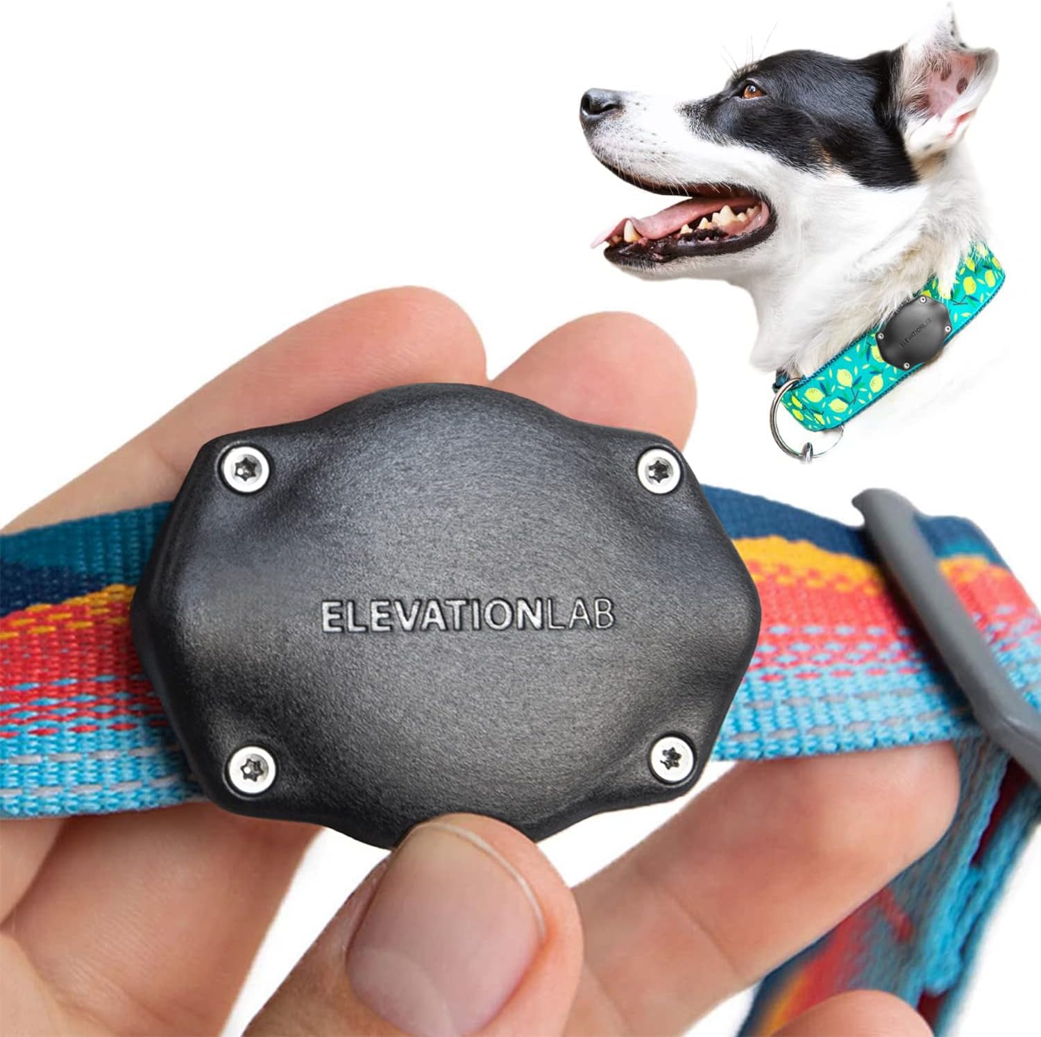 AirTag Dog Collar Holder - TagVault™ - Secure Thru-Mount, IP69 Waterproof, Doesn't Dangle, Fits All Width Collars
