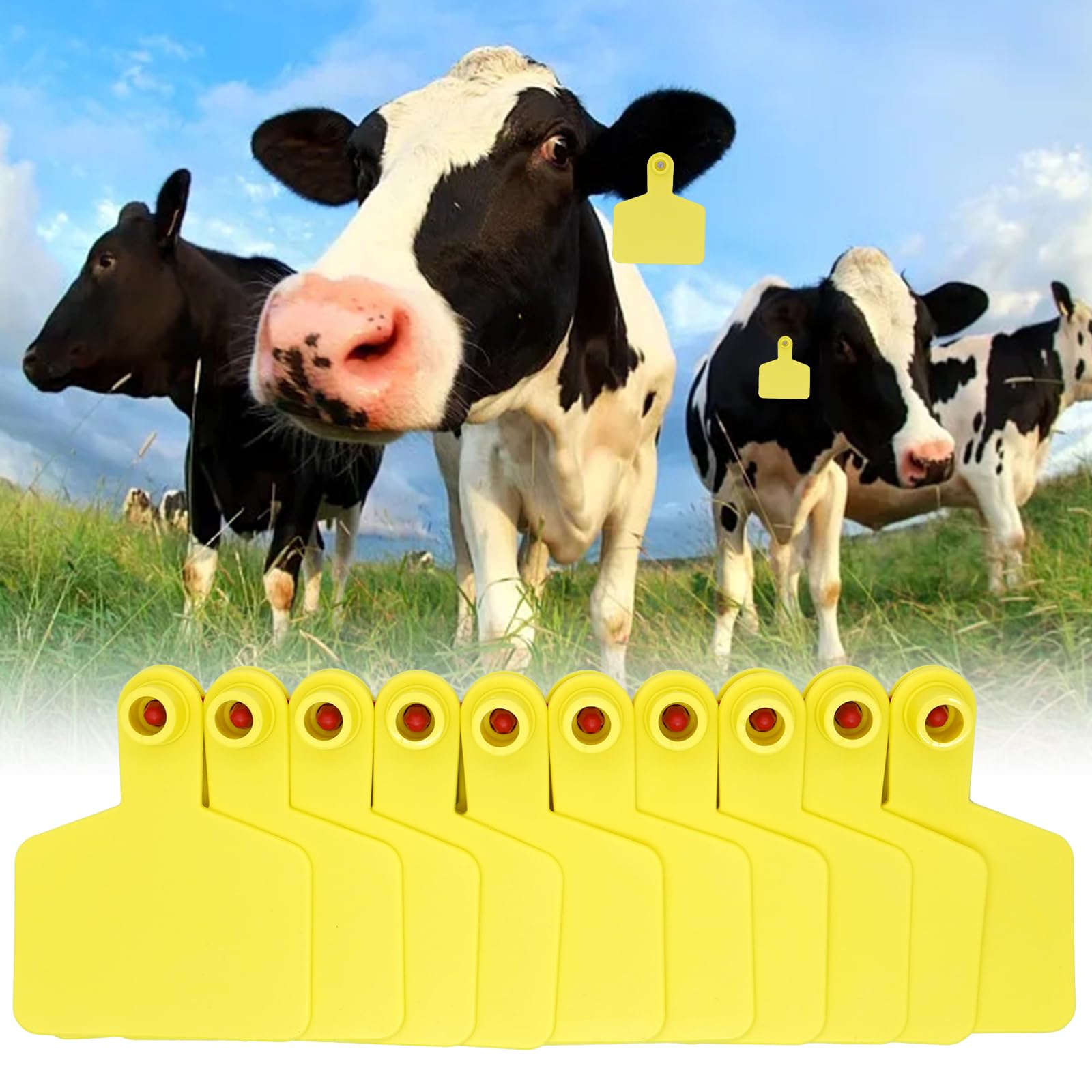 100PCS Blanko-Ohrmarken für Kuh TPU Rinder Ohrmarken Tier Identifikationskarte für Schafe Ziegen Kühe Rinder Kalb Schweine Farm