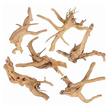 CHLORIS 6Pcs Aquarium Driftwood Spider Wood Ornament for Fish Tank Natural Branches Decorations (4in-6in)