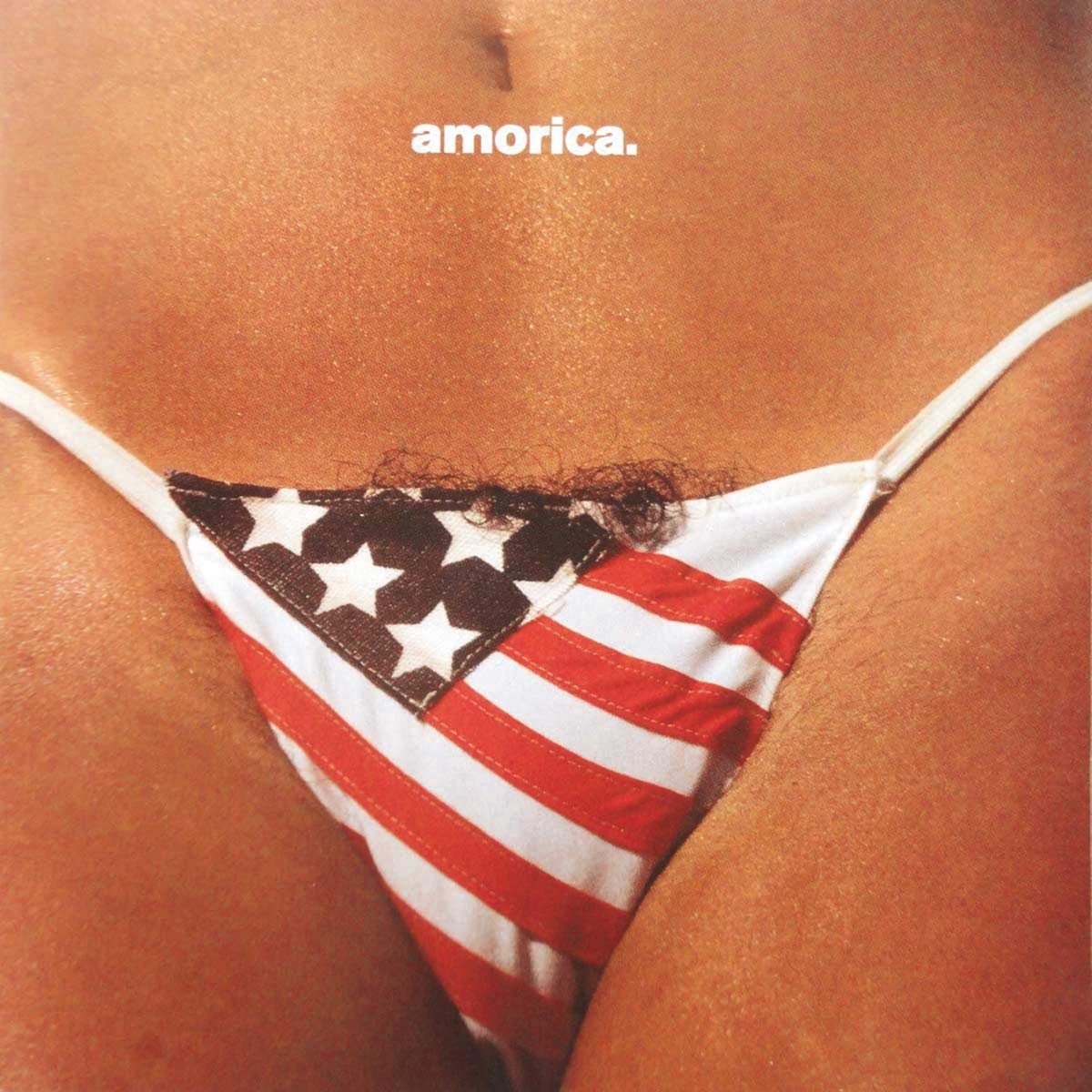 Amorica. [VINYL]