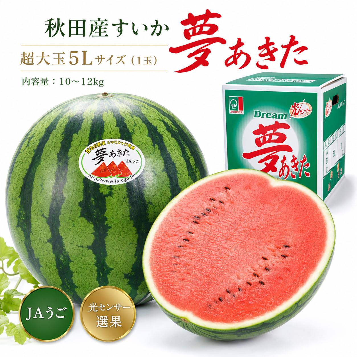 Amazon.co.jp: JAうご 秋田県産すいか「夢あきた」超大玉5Lサイズ(1玉