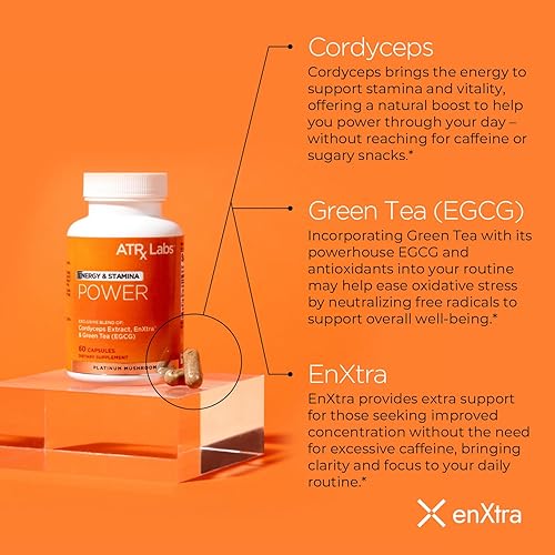 Miniatura 7 de Ultimate Mushroom Daily Gummies & Power Bundle - Incluye gomitas de bayas de manzana con Cordyceps y L-teanina, además de un suplemento de hongos