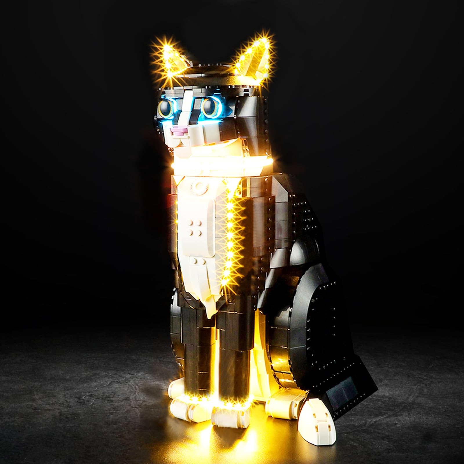Vaodest Led Light for Lego 21349 Ideas Tuxedo Cat Model,Design and Configuration Compatible with Model 21349(Led Light Only, Not Building Block Kit)