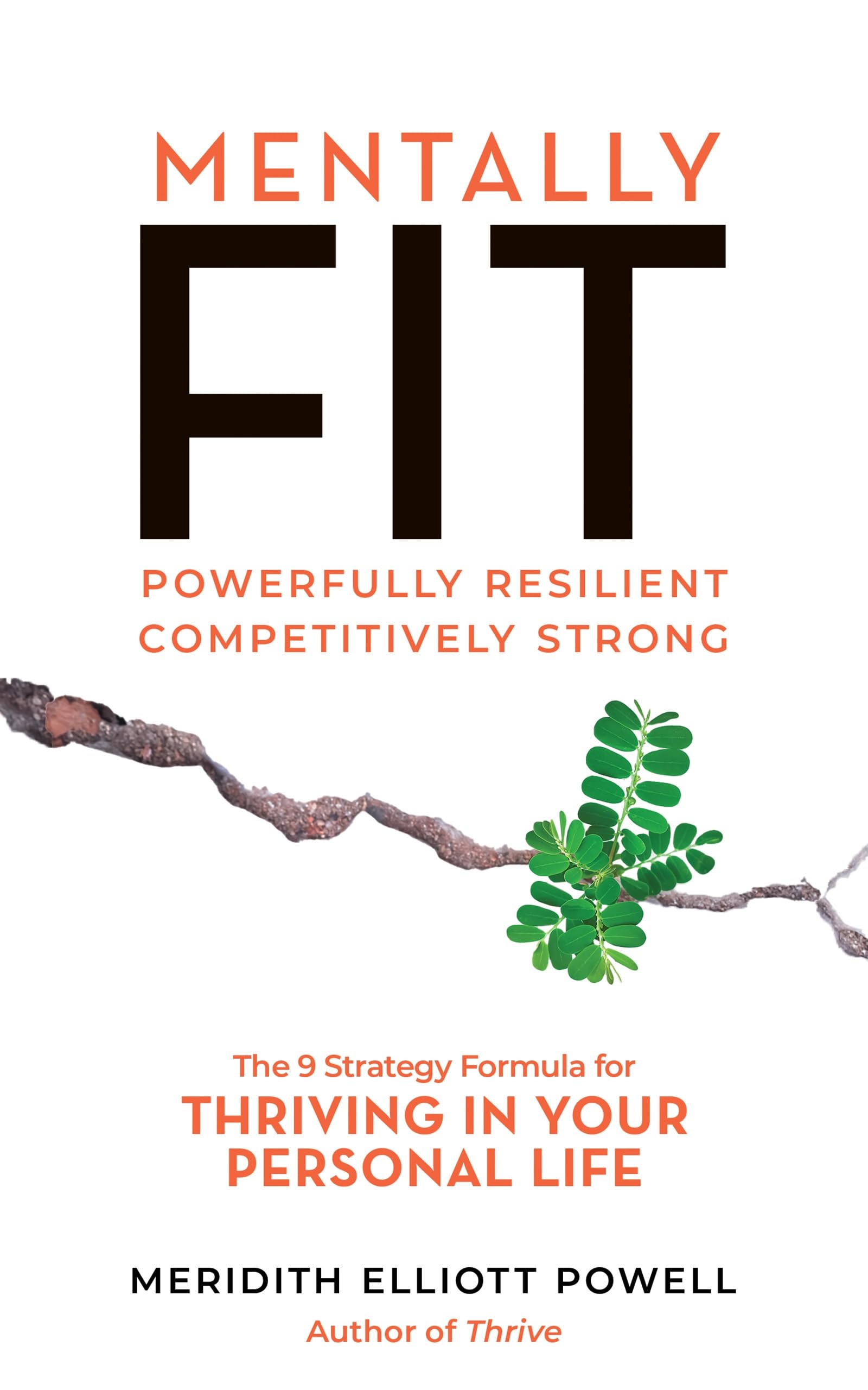 Mentally Fit, Powerfully Resilient, Competitively Strong: The 9 Strategy Formula for Thriving in Your Personal Life