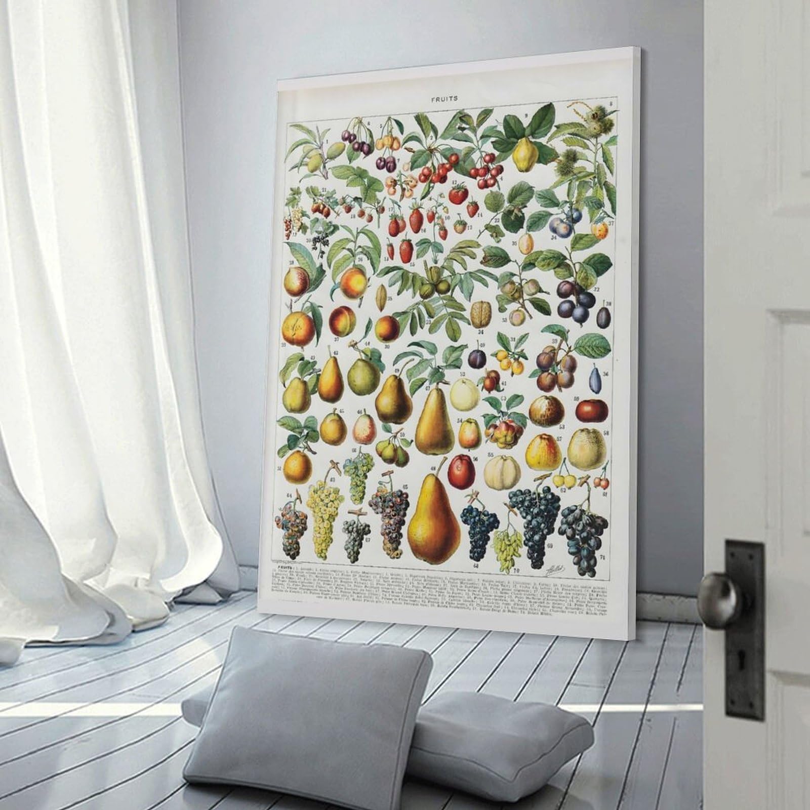 Junmoney Adolphe Miilot Fruit Canvas Wall Art, 24x36inch(60x90cm), for Bedroom Decor, Cosy Corners Or Studios, Stylish Decor for A Restful Room Update