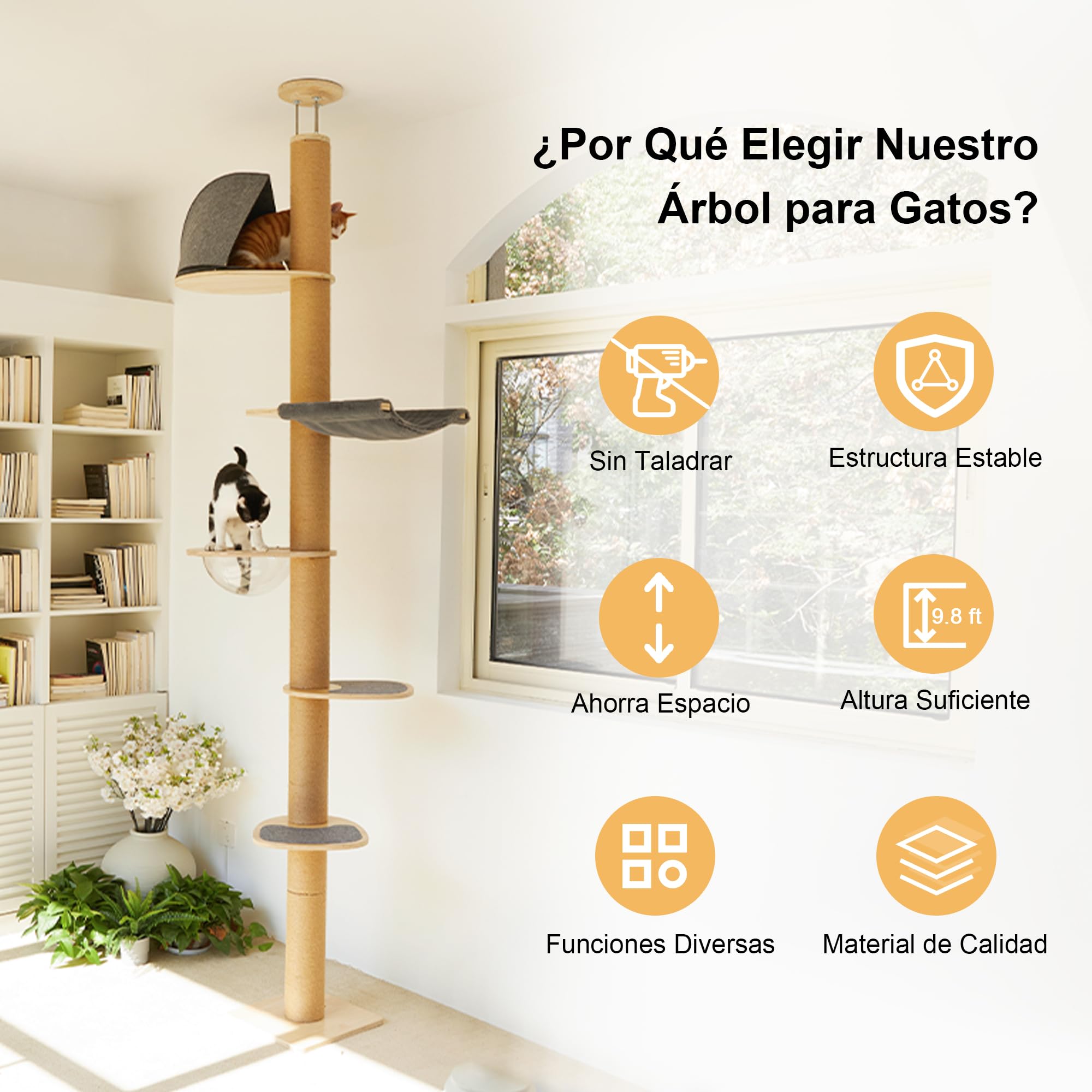 FUKUMARU Árbol rascador para Gatos, Torre de 6 Niveles hasta el Techo (280-300 cm), montado en la Pared, Hecho de Madera de Caucho Natural, con cápsula Espacial Transparente y cómoda Hamaca, Gris