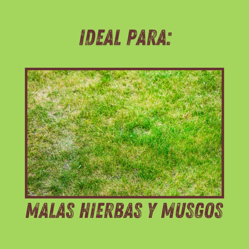 VITHAL Garden Herbicida Total Ultra Concentrado 500 ml - Acción Rápida en 15 Minutos, Eficaz Contra Malas Hierbas y Musgos - Activo 100% Natural, Hasta 250 m², Uso Todo el Año