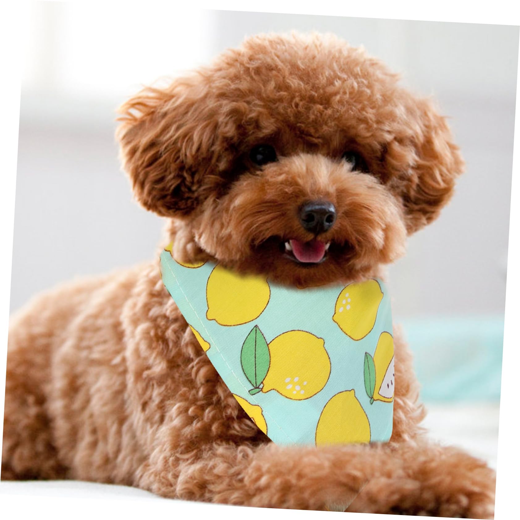 INOOMP 12stücke Niedliche Haustierschals Aus Atmungsaktive Und Tragbare Hundebandanas Und Zitrone Perfektes Accessoire Für Hunde Und Katzen
