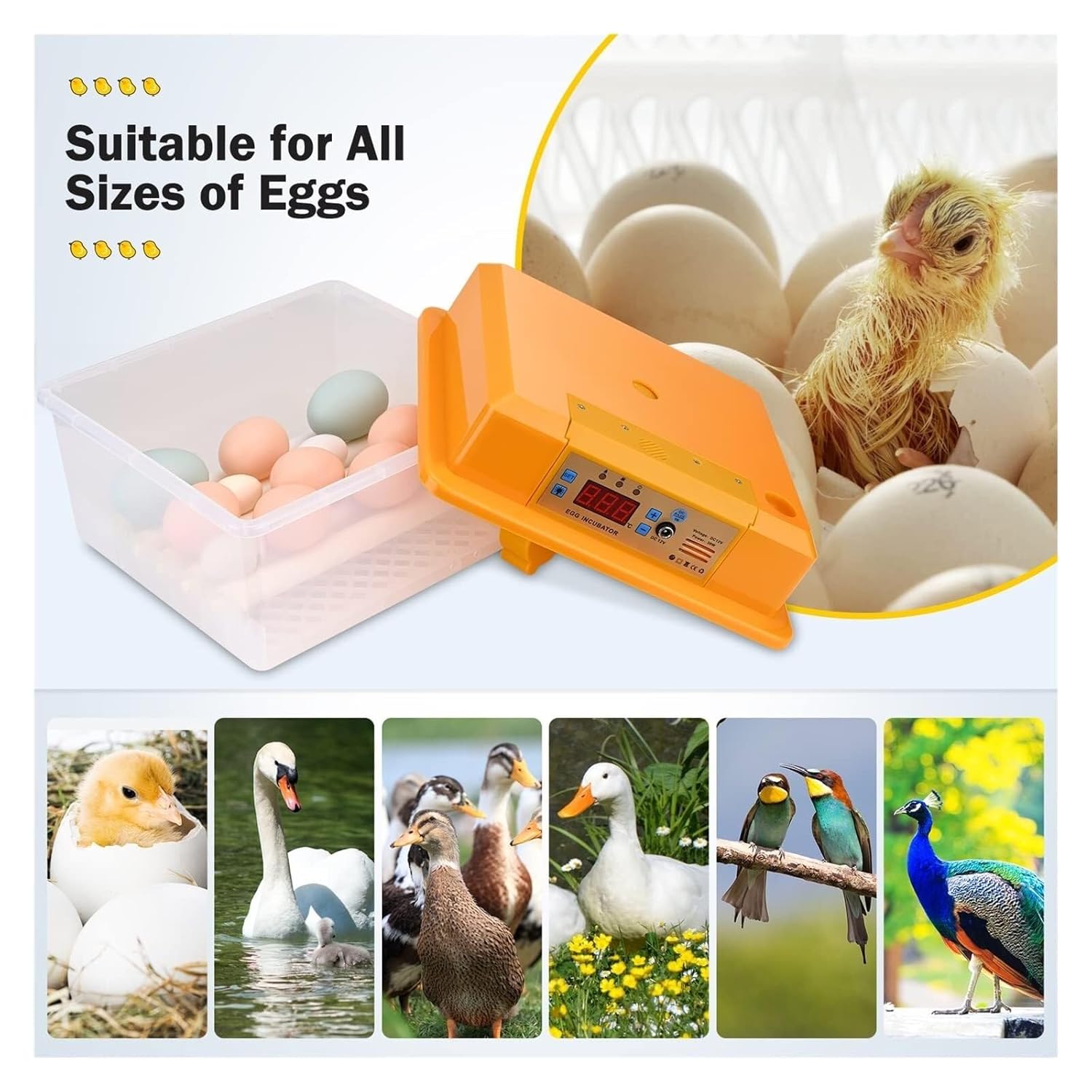 Egg Incubator 16 Eggs Capacity – Automatic Turning, Low Noise Fan, Humidity Control, Poultry Hatcher for Chicken, Duck, Goose, Fully Home Use
