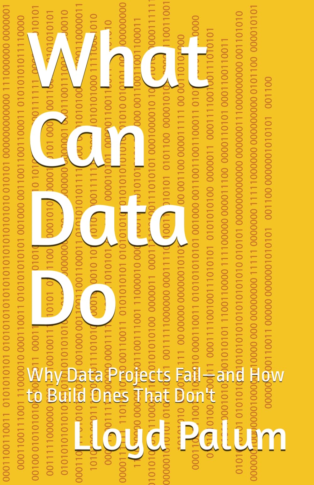 What Can Data Do: Why Data Projects Fail—and How to Build Ones That Don't
