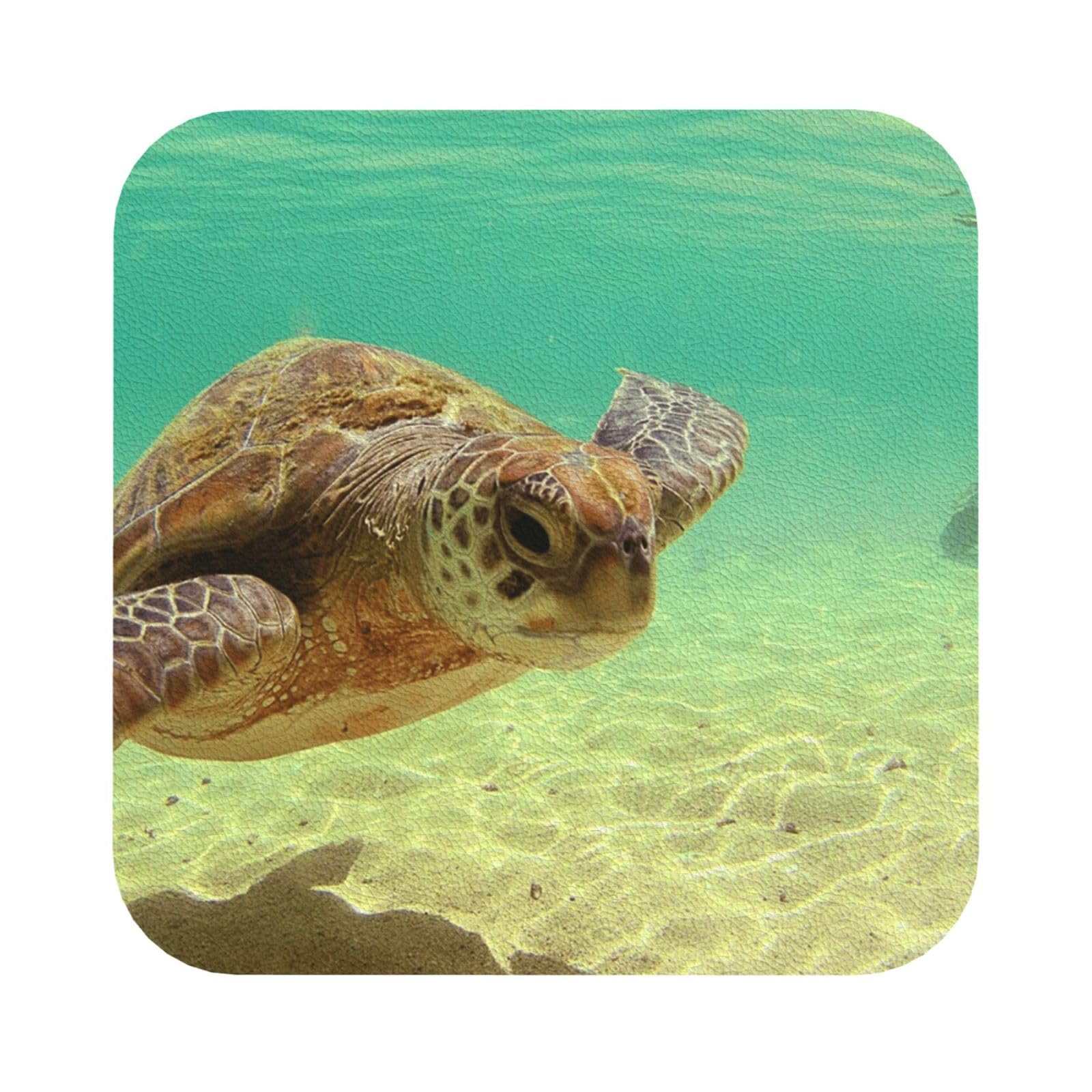 Lord Howe Island Sea Turtle PU Leather Coasters Set of 6 Square Drink Coasters