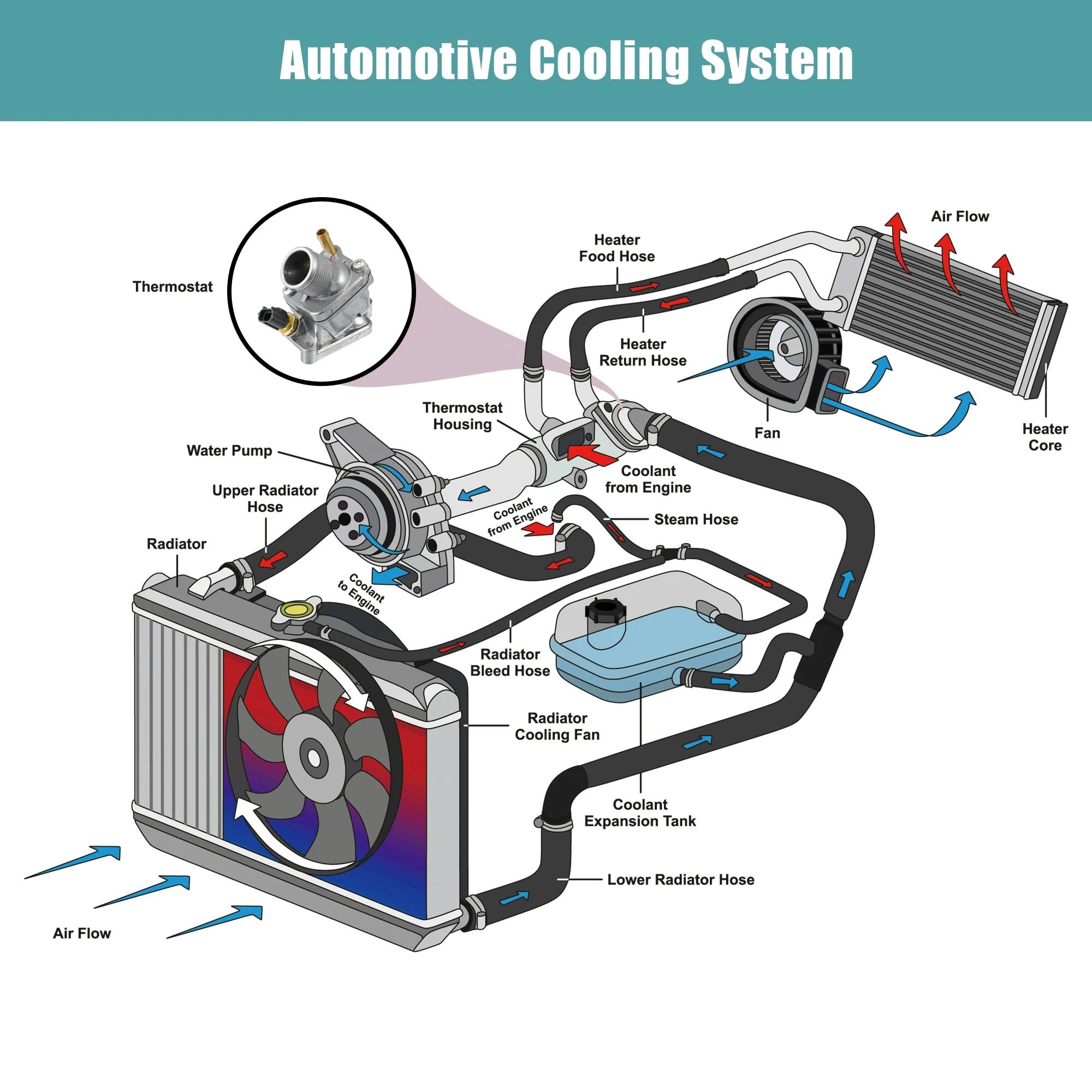 Termostato de refrigerante del motor Termostatos d 31293698 Conjunto de carcasa del termostato del refrigerante del motor, compatible con Volvo XC90 03-06