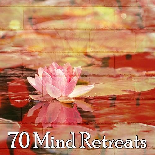 70 Mind Retreats By Meditation Zen Master On Amazon Music