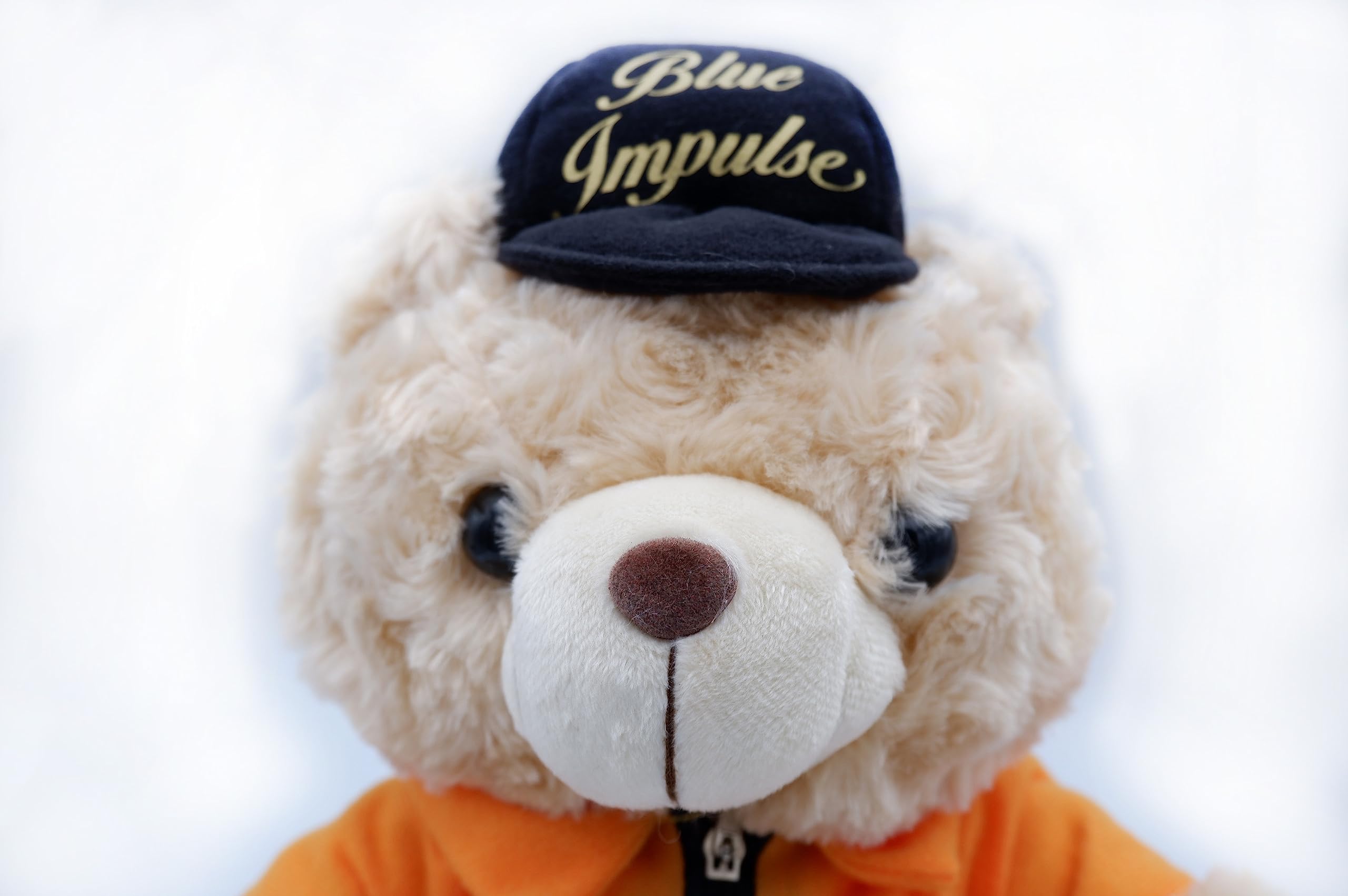 Amazon.co.jp: 航空自衛隊 ベア ぬいぐるみ 大 ブルーインパルス BLUE