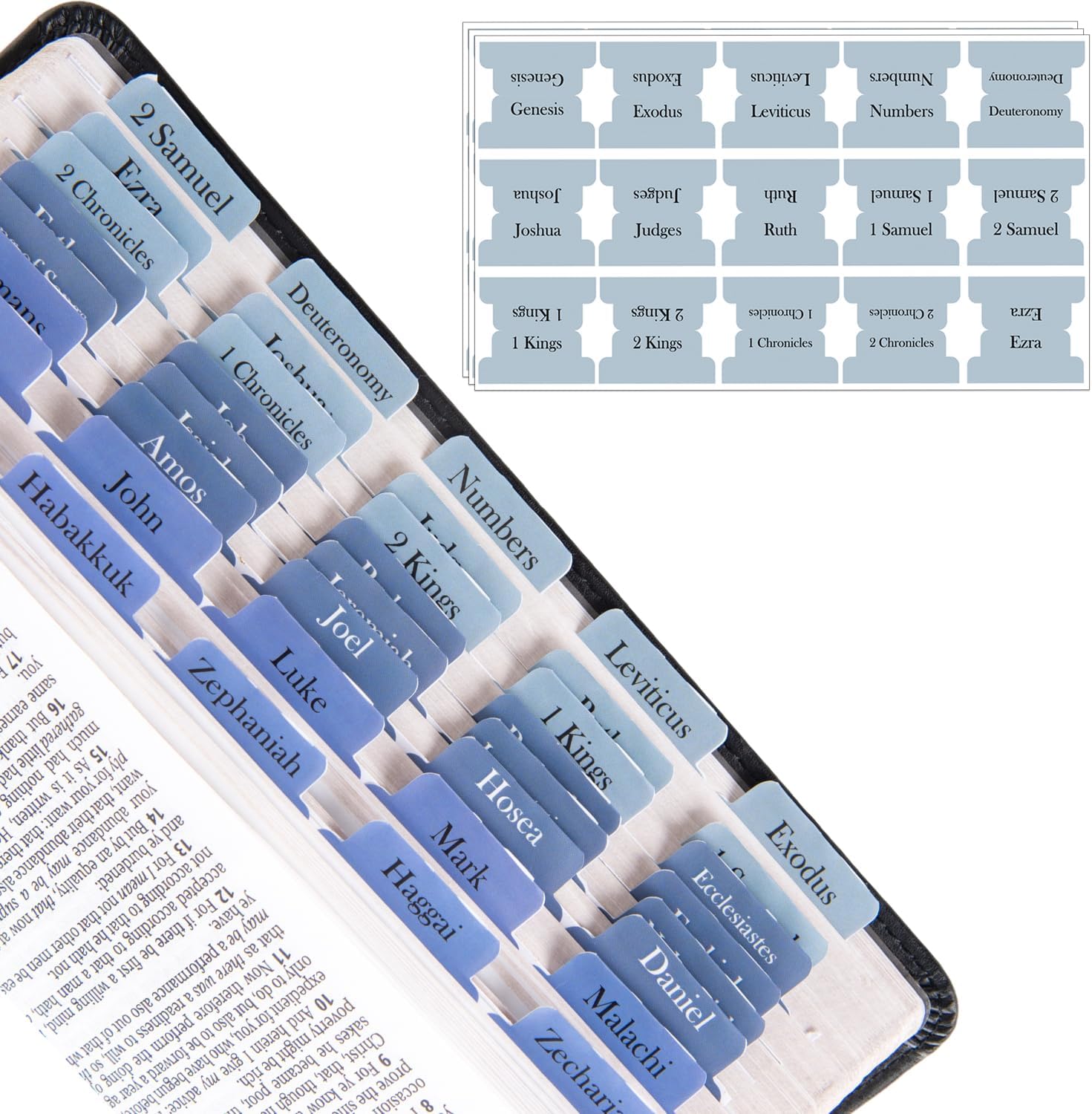 EssexWares - Sky Blue Bible Tabs For Old And New Testament, 80 Large Print Tabs For Bible Study, Water-Resistant And Durable Index Tabs For Women And Men - 1.7" Wide
