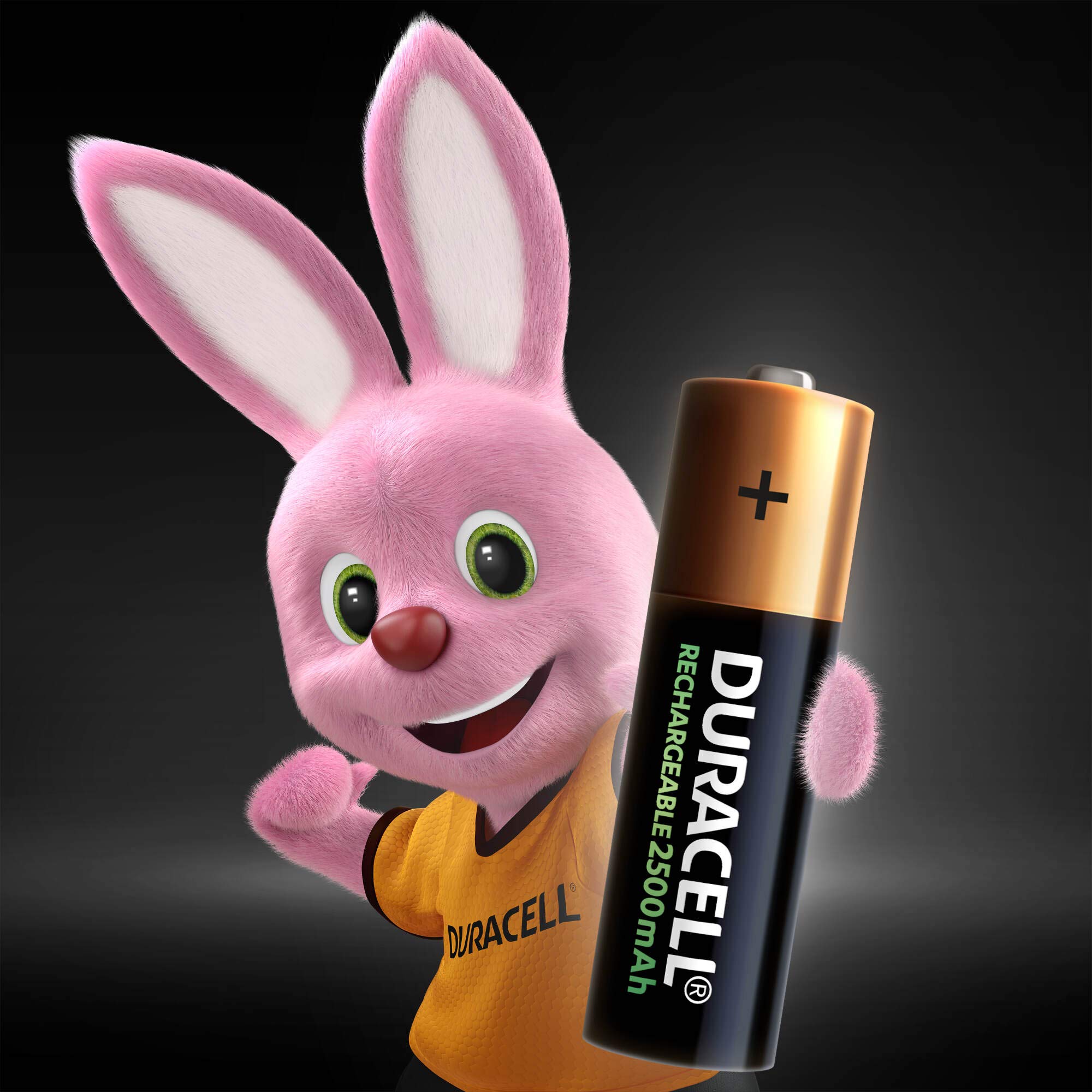 Duracell Rechargeable AAA 900 mAh Micro Akku Batterien HR03, 8er Pack [Amazon exklusiv] & Rechargeable AA 2500 mAh Mignon Akku Batterien HR6, 4er Pack