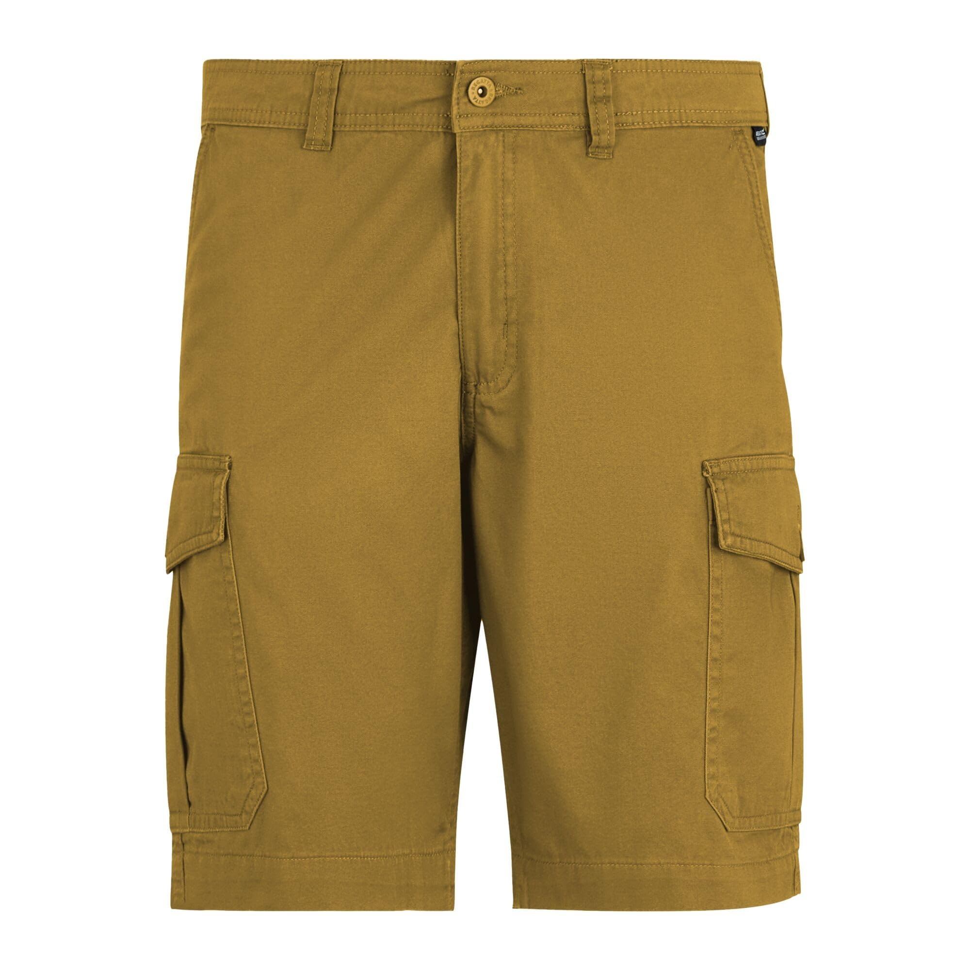 Regatta Mens Ruwan Shorts Cotton