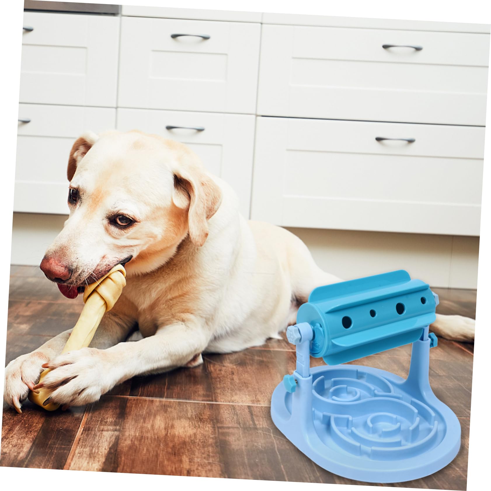 Jouet Nourrisseur à Rouler pour Chiens et Chats, Bleu Abs