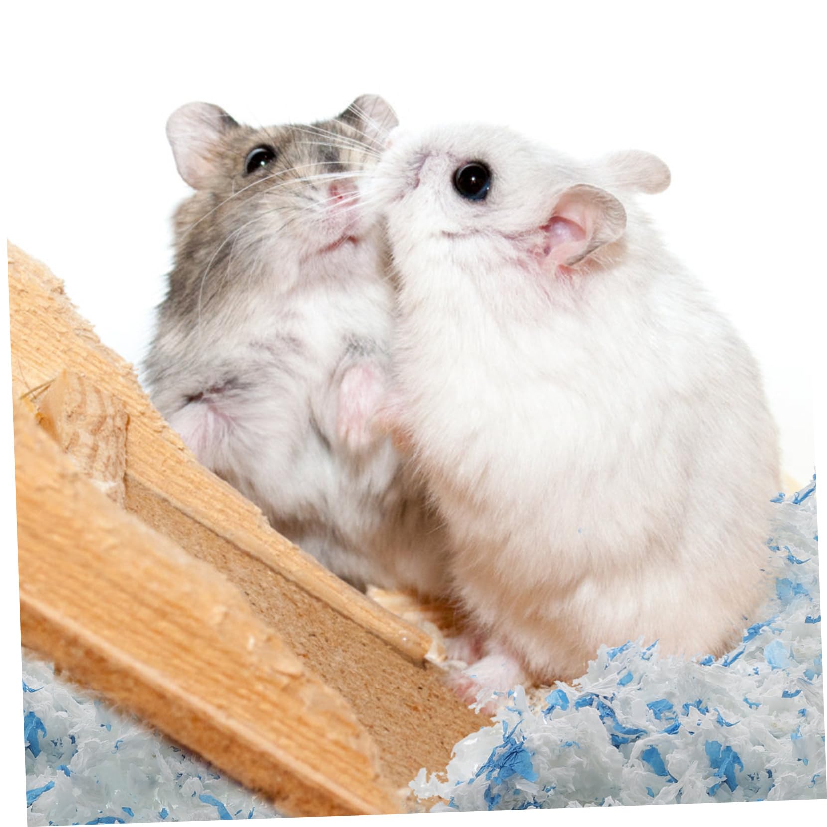 Toyvian Lettiera in Carta per Piccoli Animali e Cincillà, 1 Sacchetto da 450g, Bassa Polvere, Soffice, per Gabbia Pulita | Cincillà e Gerbillo, Uso in Gabbia, Carta Soffice e Voluminosa, Mantiene Fondo Asciutto e Pulito