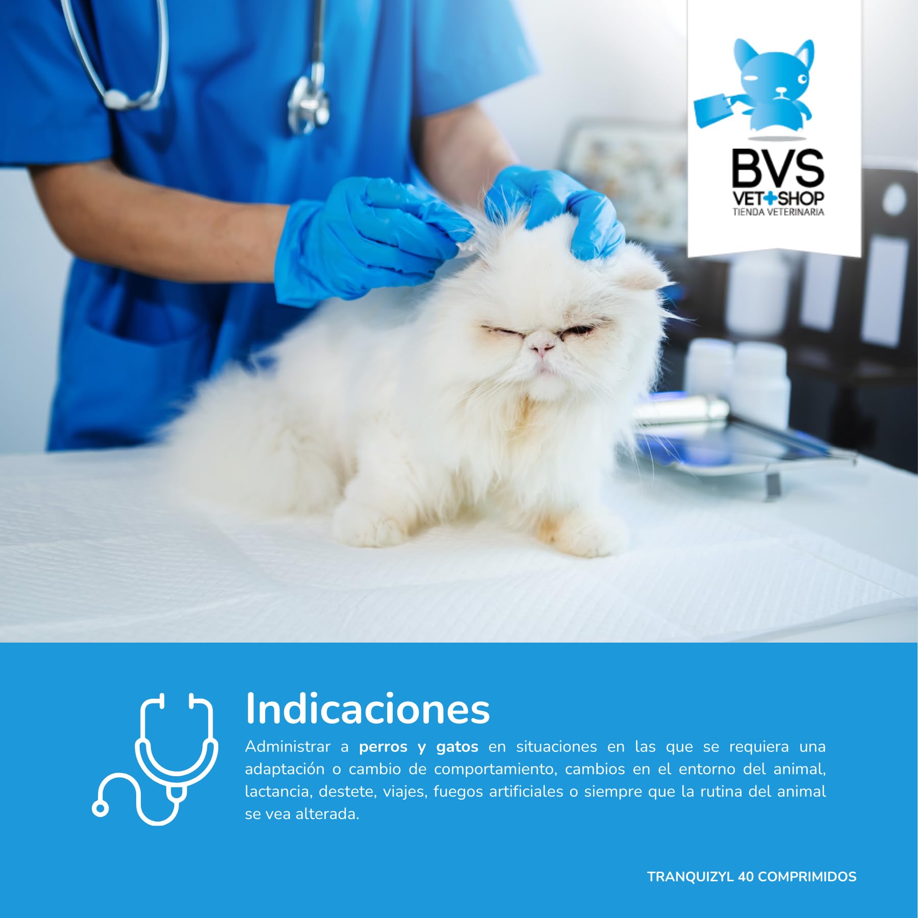 BVS Vet Shop | Tranquizyl 40 comprimés pour Chiens | Complément idéal pour Aider Votre Animal à se détendre et à Rester Calme dans Les Situations stressantes | 225 MG