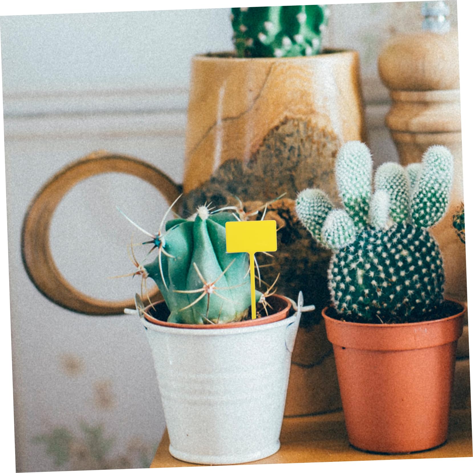 Abaodam 5 Sätze Gartenpflanzenschilder Beschriftbare Kunststoffetiketten Für Sukkulenten Und Langlebig Für Gartenarbeit Und Pflanzenklassifizierung Stück * 5