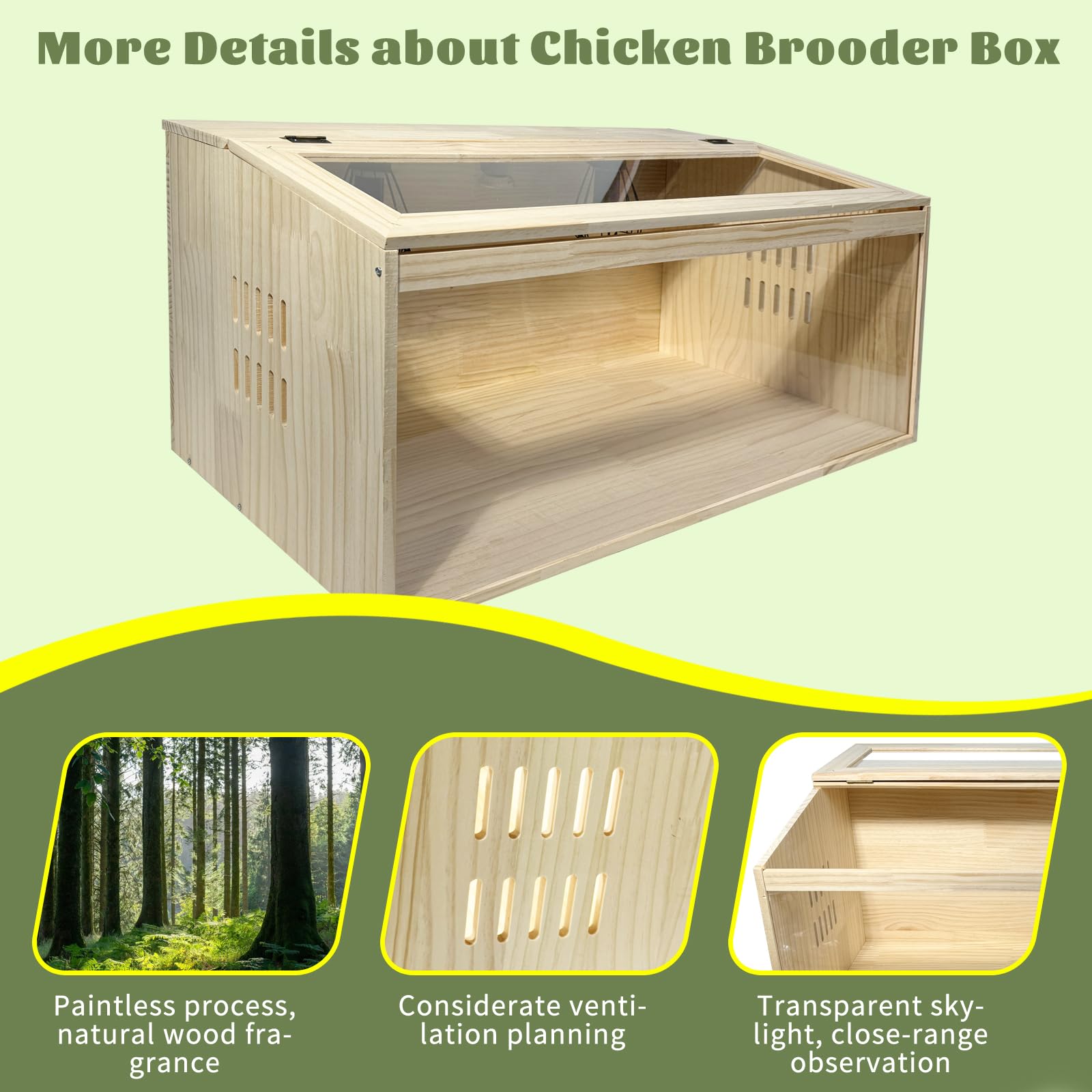 Caja grande de 20 piezas para criar pollos, caja de incubadora todo en uno, para pollitos, codorniz, hámsters, capacidad de hasta 35 pollitos, patrón B, 32 pulgadas de largo x 16 pulgadas de ancho x