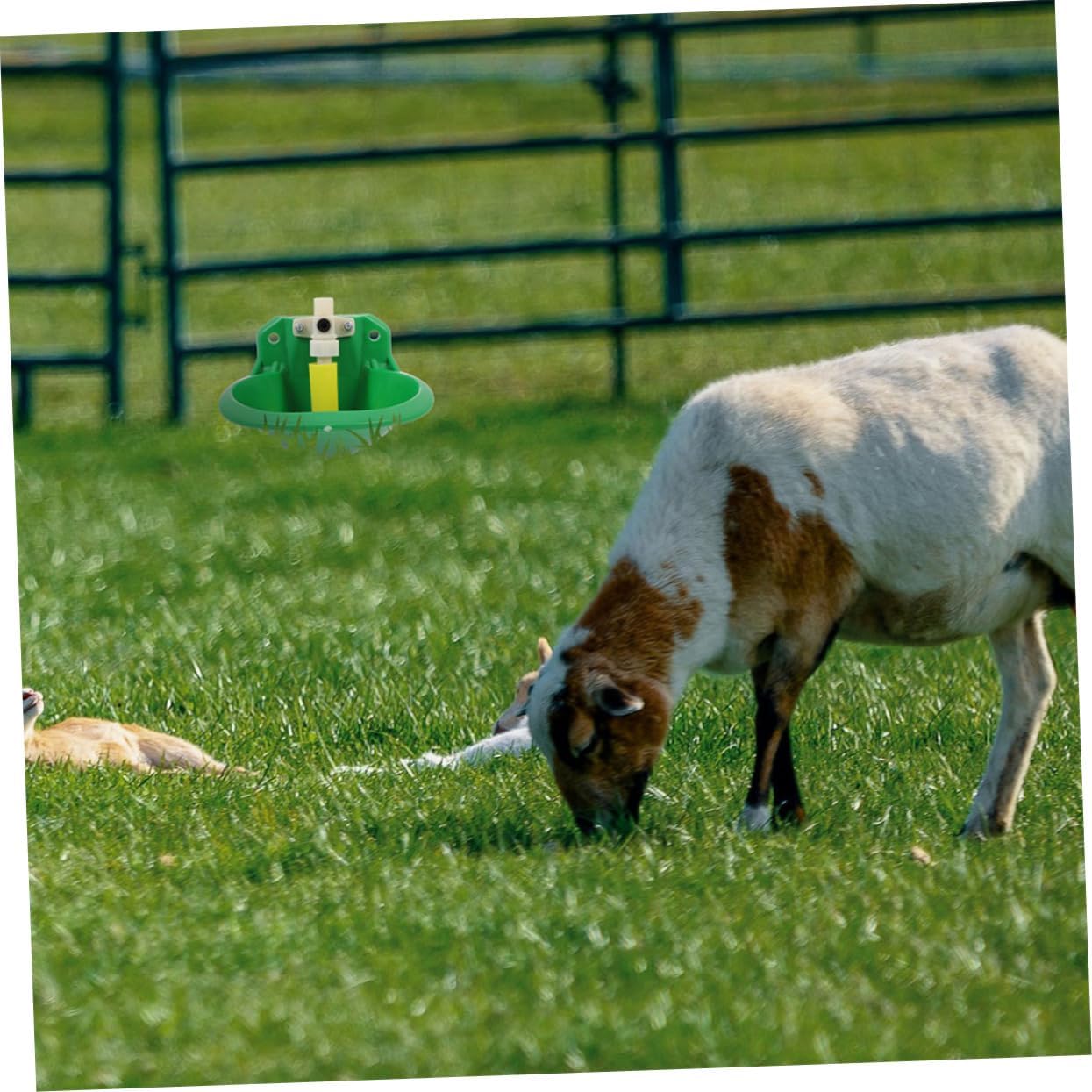 2pcs Plastic Drinking Bowl for Sheep Automatic Water Dish Pet Bowl Equipment Sturdy Leakproof