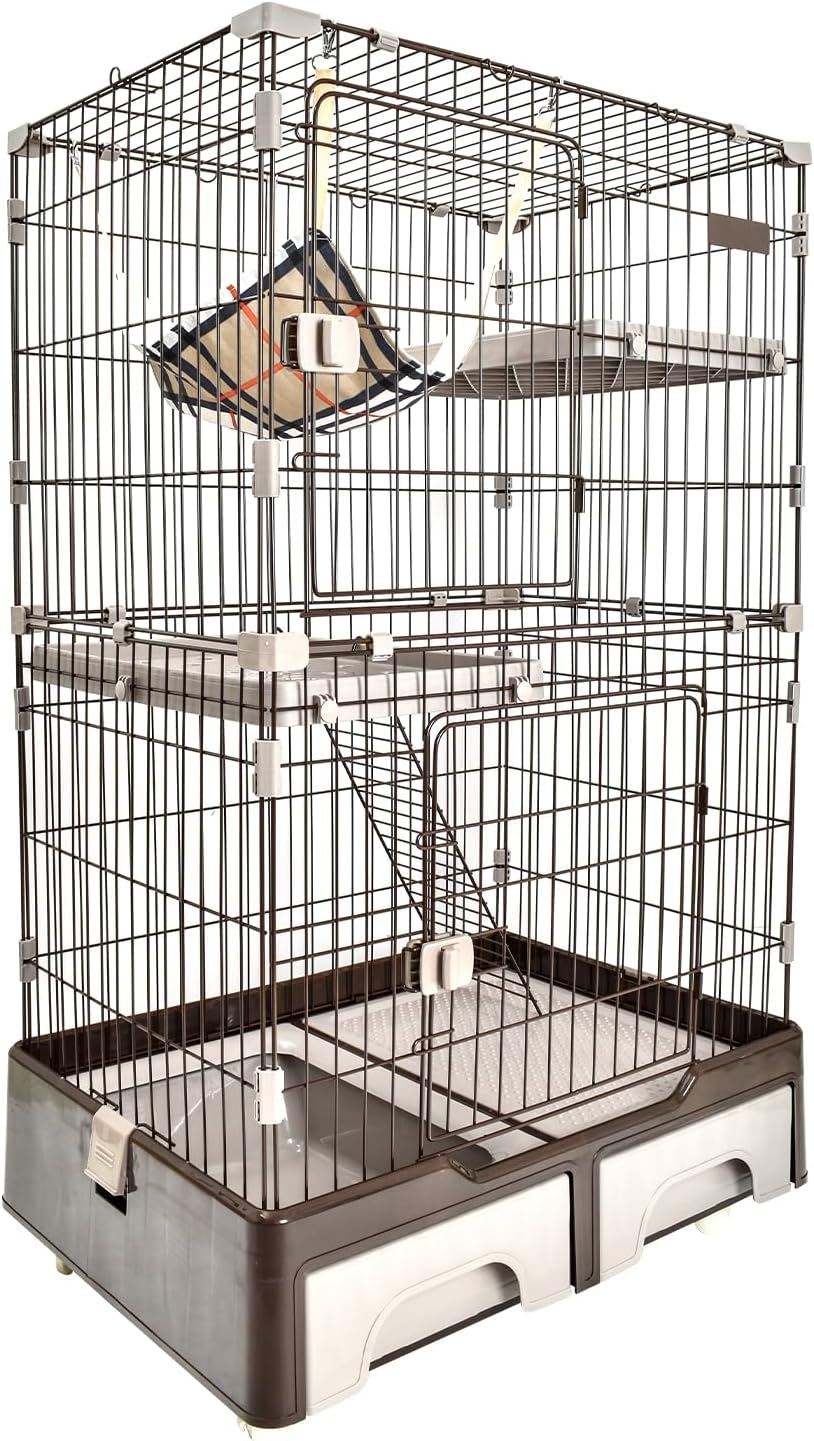 長谷川 潔/コップに挿たアンコリ/マニエルノアールのレゾネ/額付