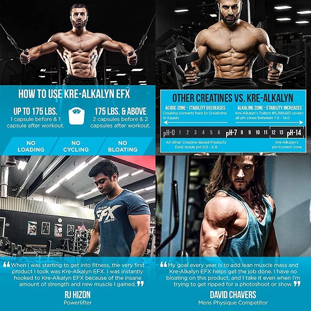 All American EFX Kre-Alkalyn 240Capsules 750 mg Efx-Kapseln (1 Serving 1500mg)